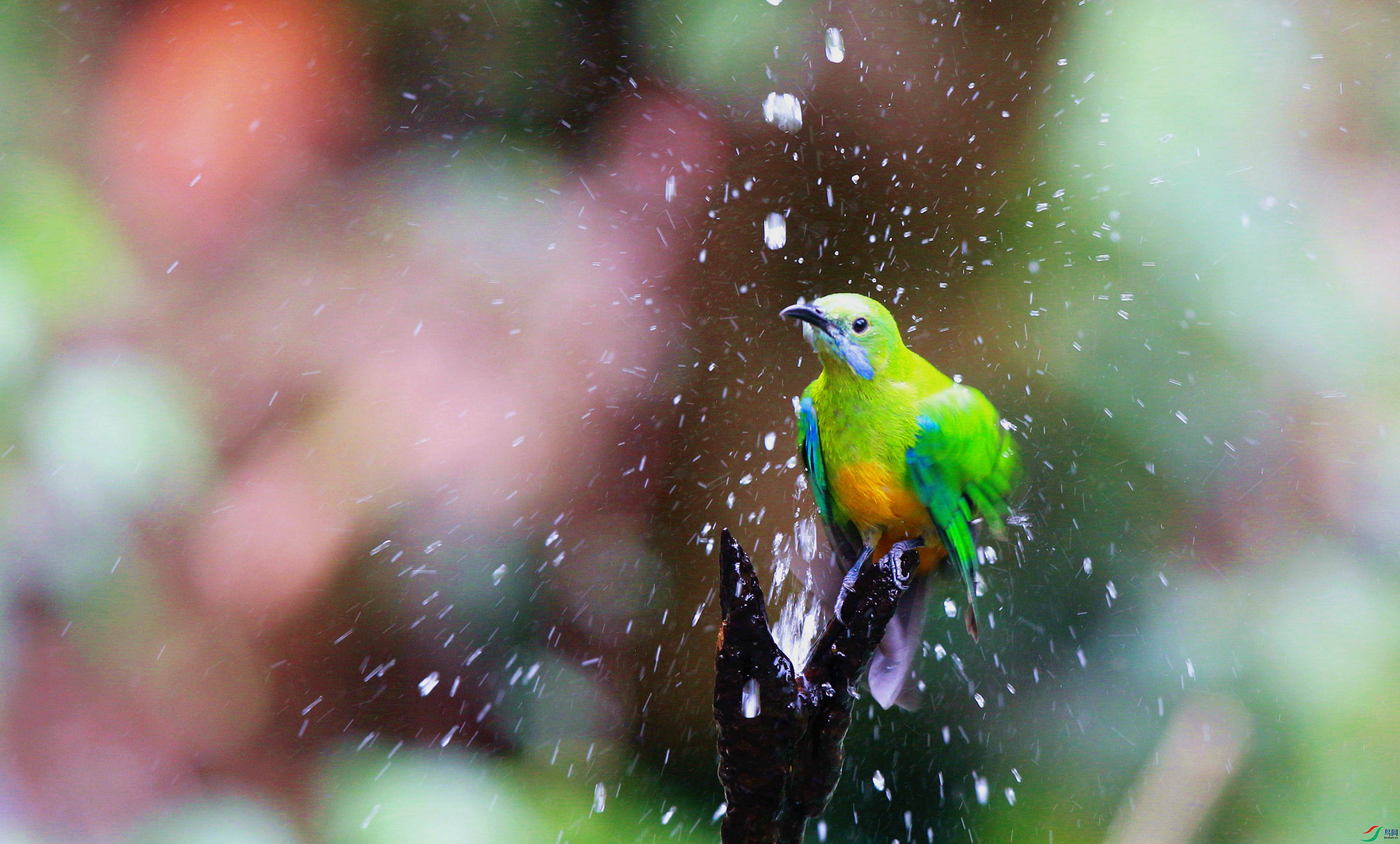 H46R1314_���� (2).jpg