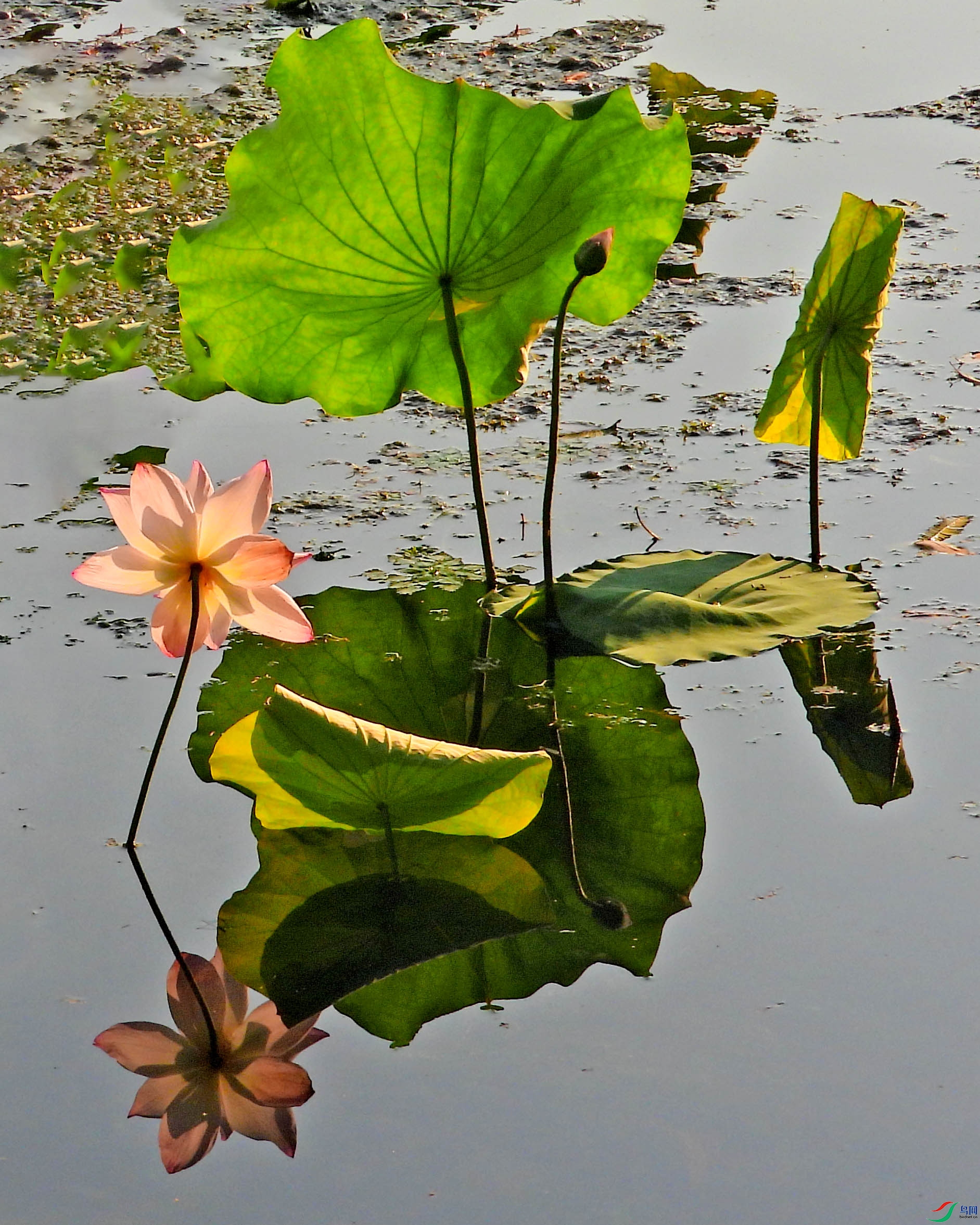 DSCN3591.JPG