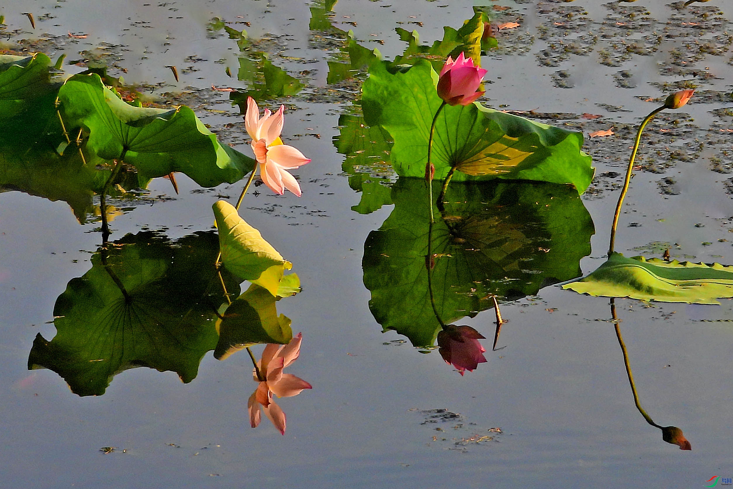 DSCN3589.JPG