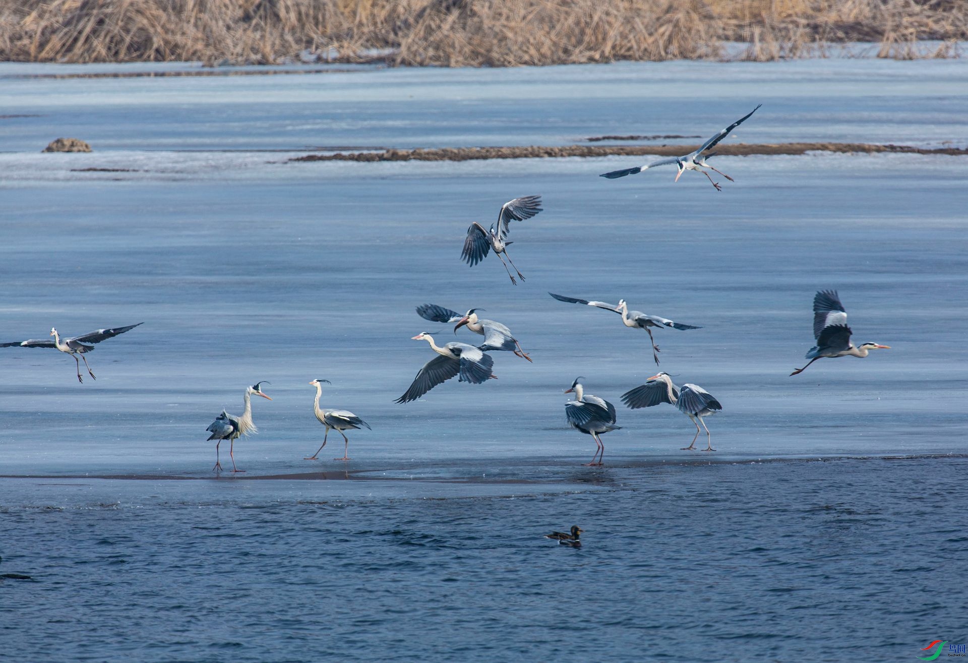 IMG_8262.jpg