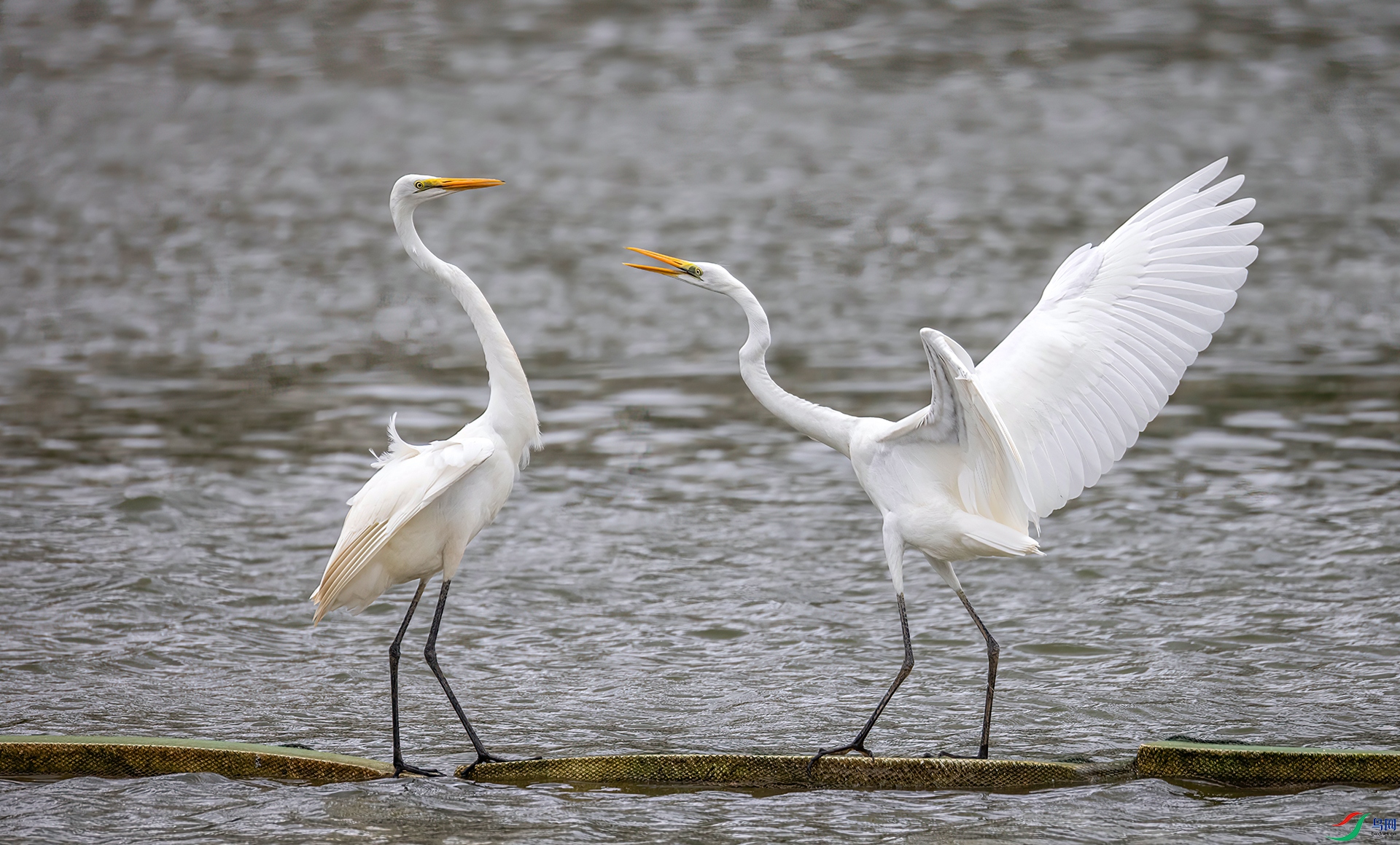 407A9084 ����-Sh----1 .jpg