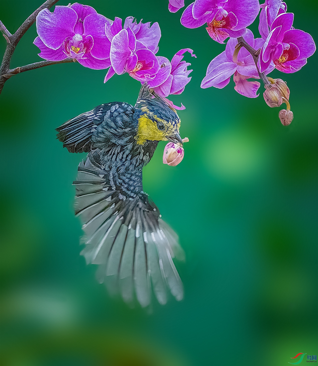 ���ػس���