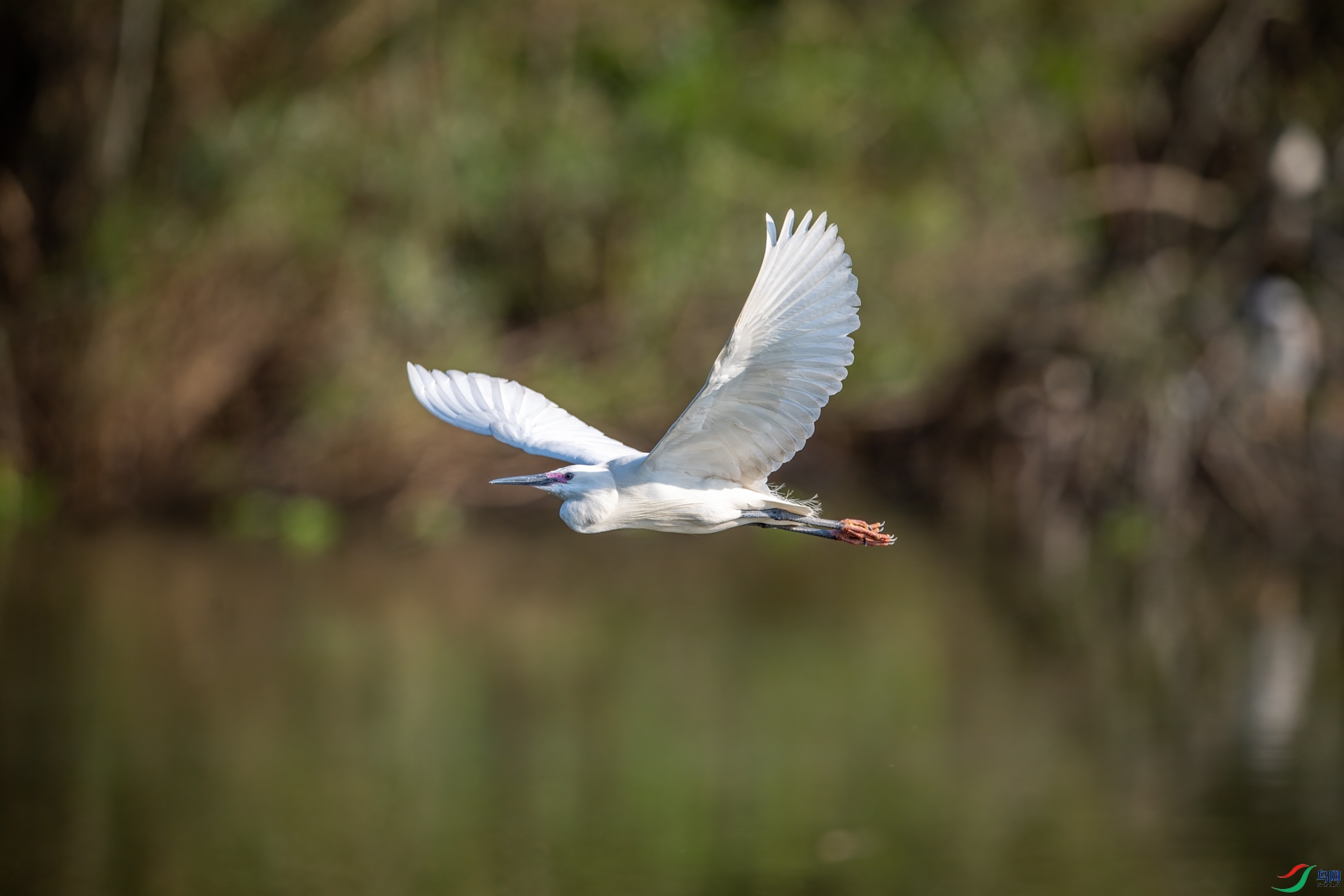 DSC_3333-1.jpg