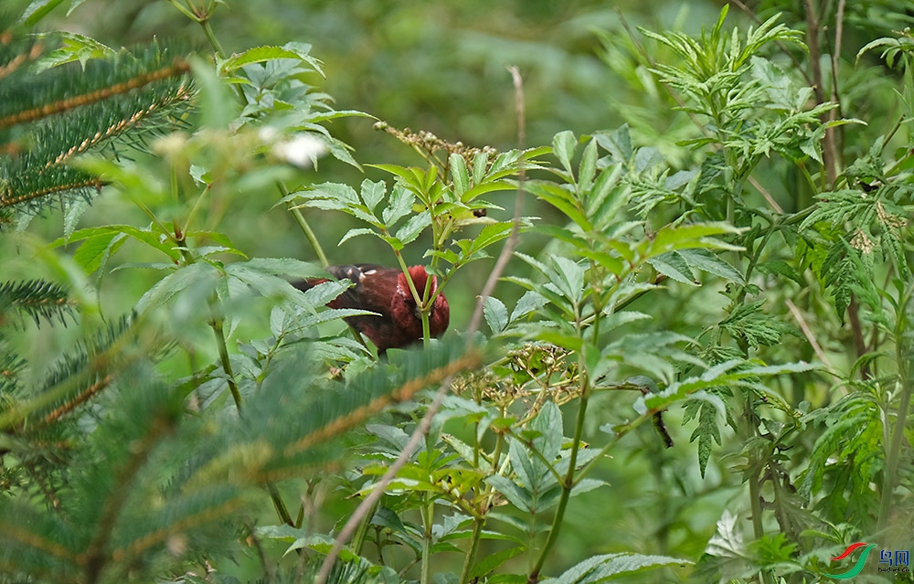DSCF2562.1.jpg