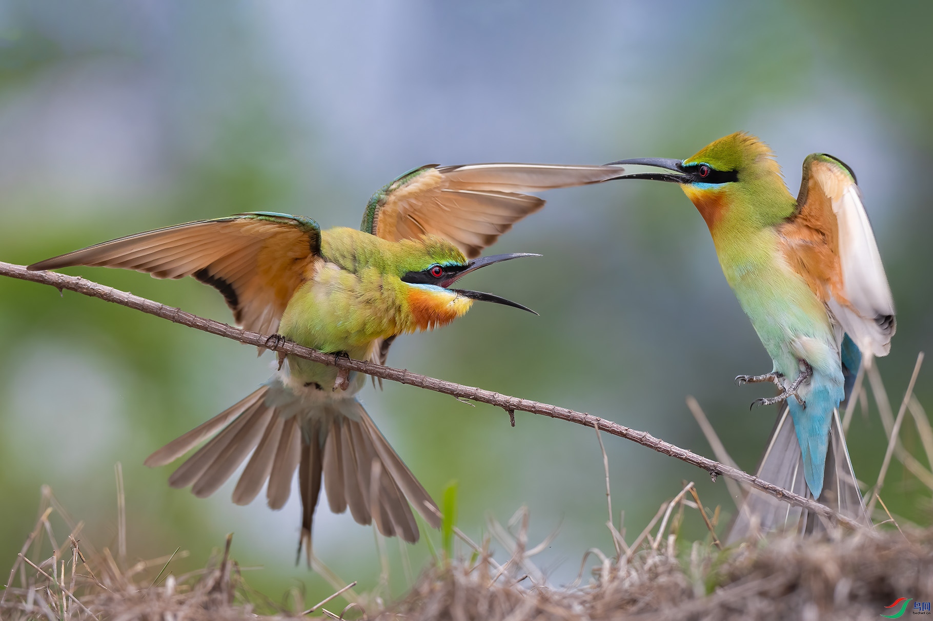 DSC_2325 ���� 2.jpg