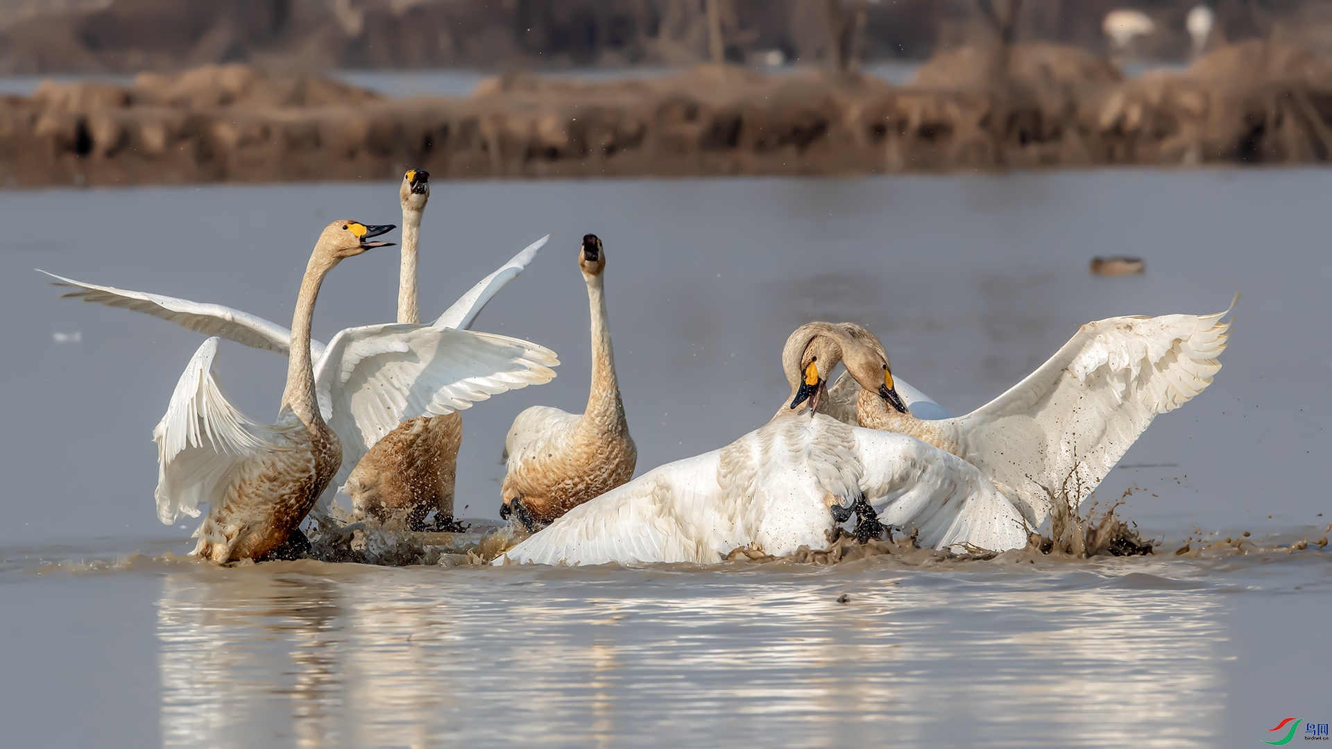 20240809��� .jpg