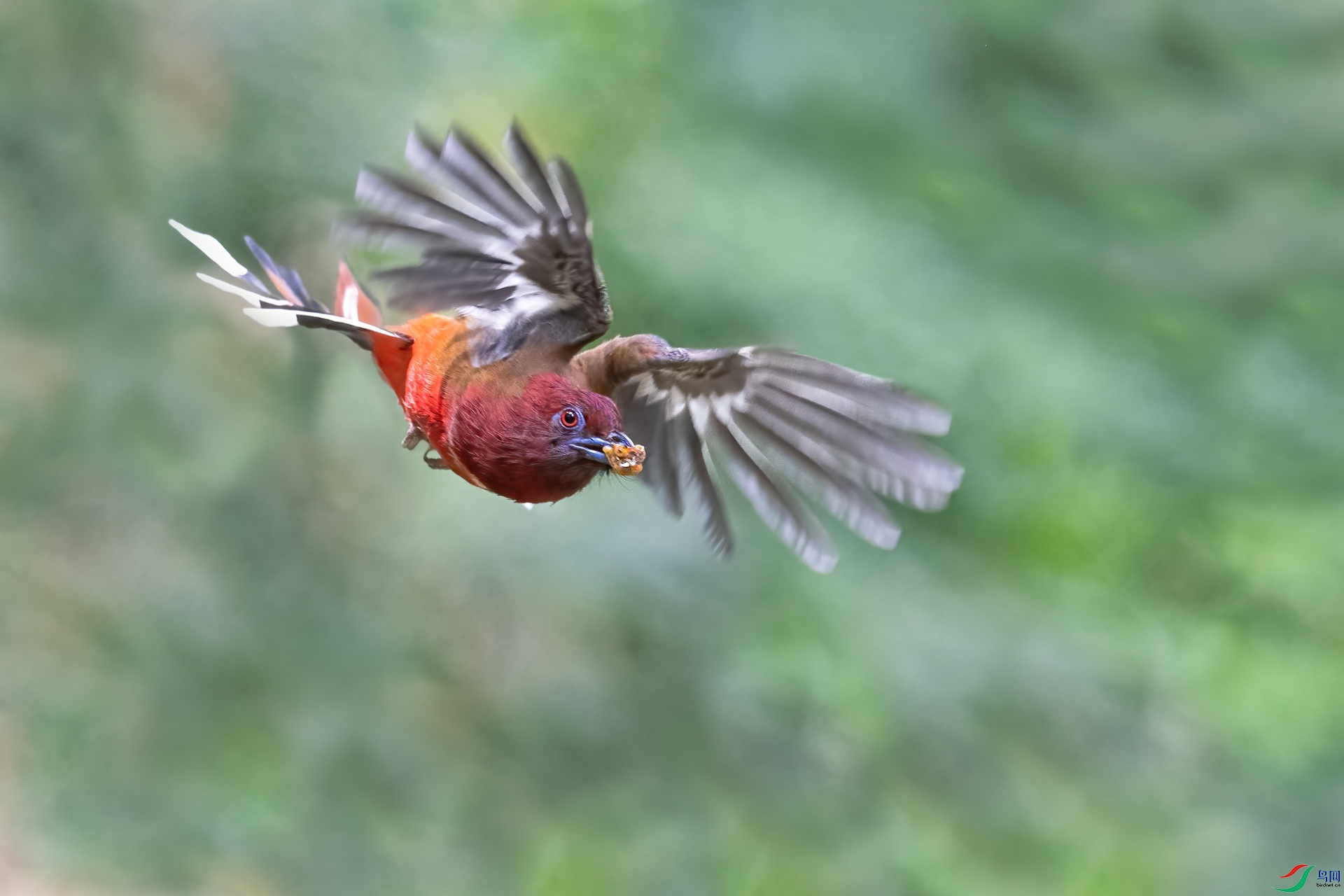 DSC_4381.jpg