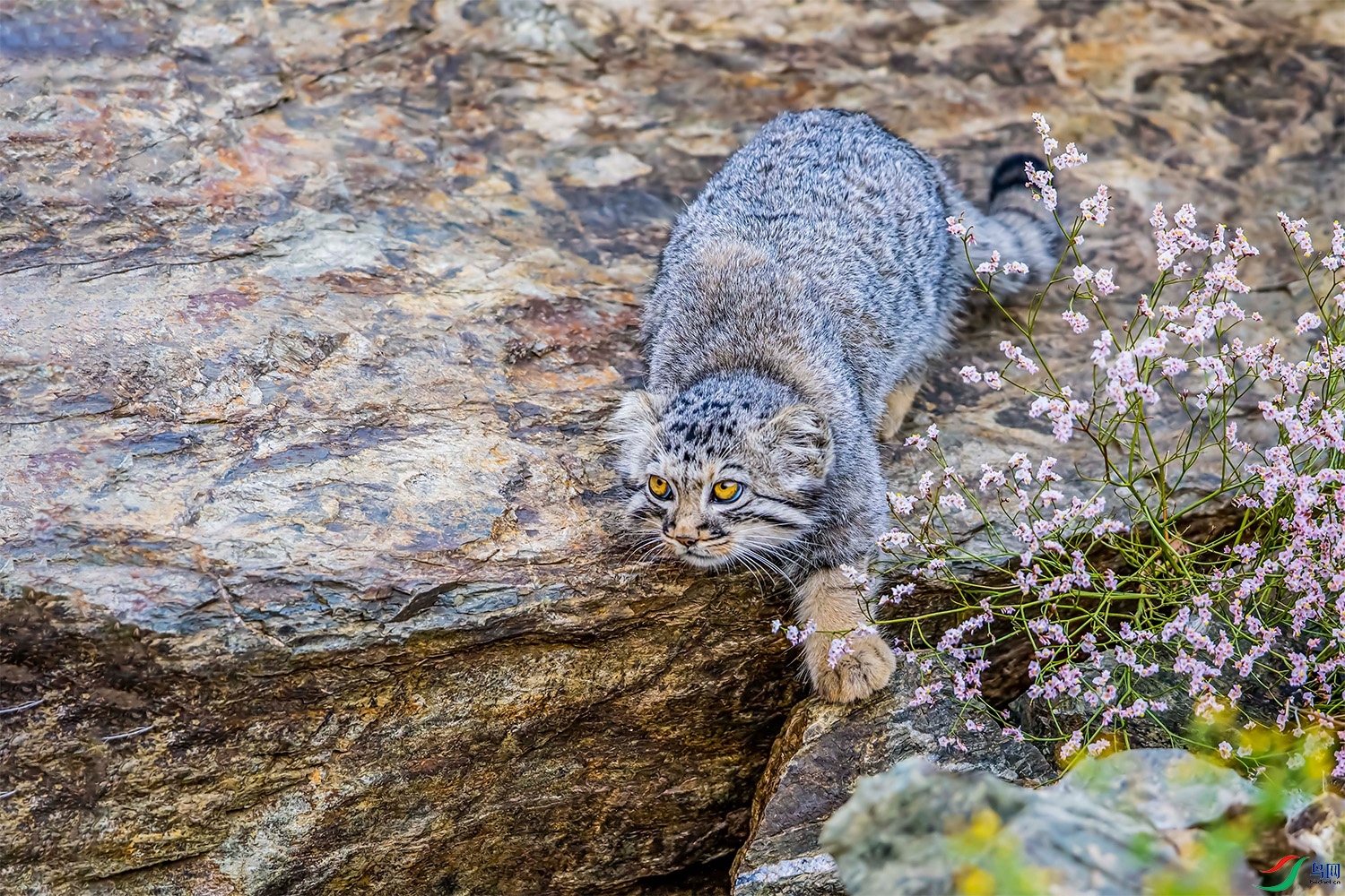 DSC_0232.jpg