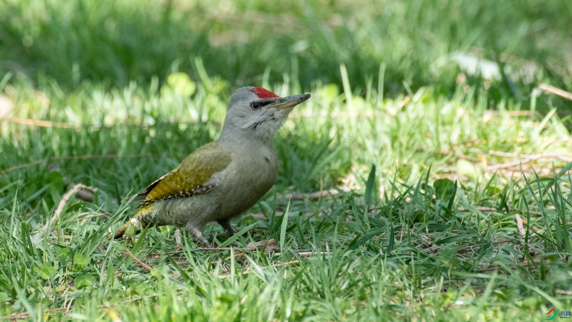 DSC_8610.jpg