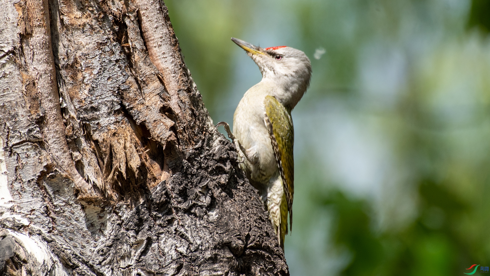 DSC_8721.jpg
