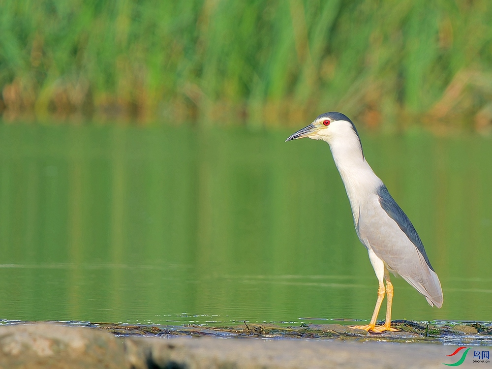 P8060188_DxO - ����.jpg