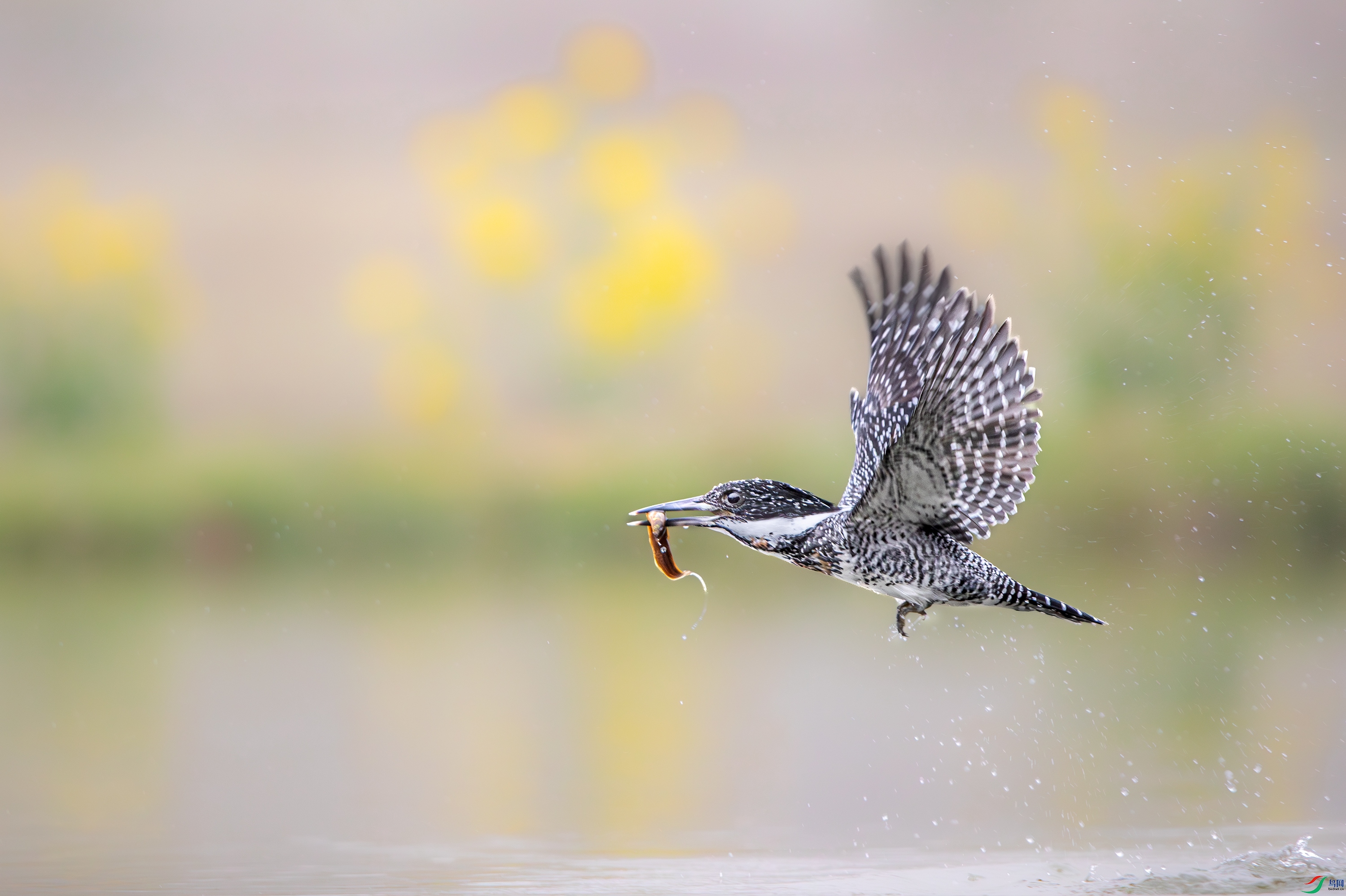 AY8I0354-����ǿ-NR ����.jpg