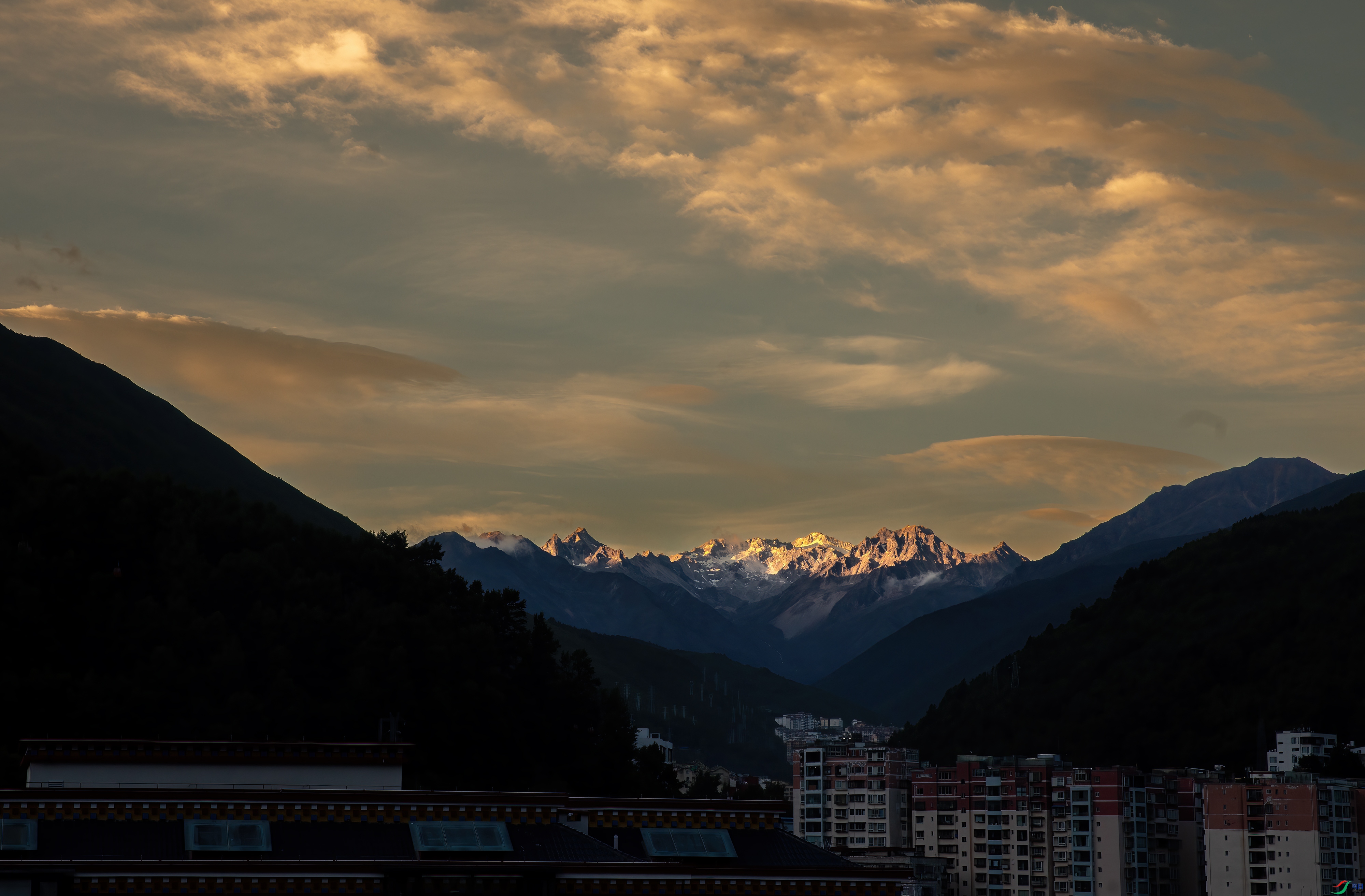 3S5A1635 ����.jpg