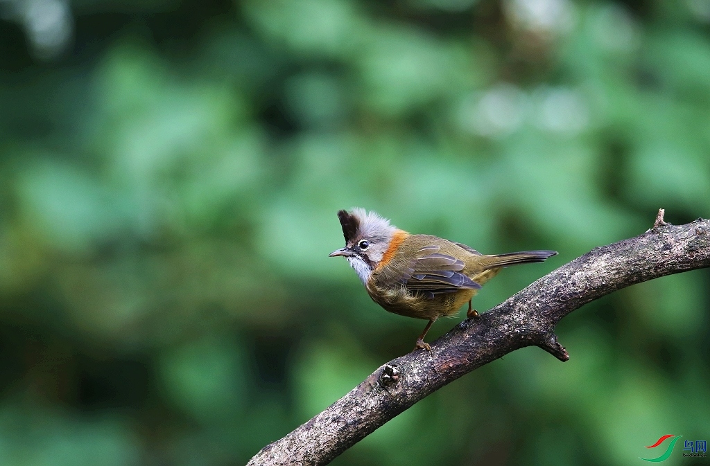 ���� IMGL8929.JPG