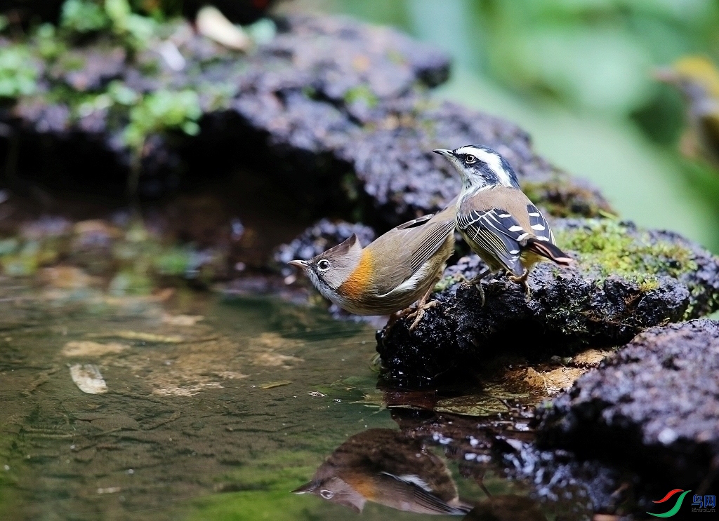 ���� IMGL7269.JPG