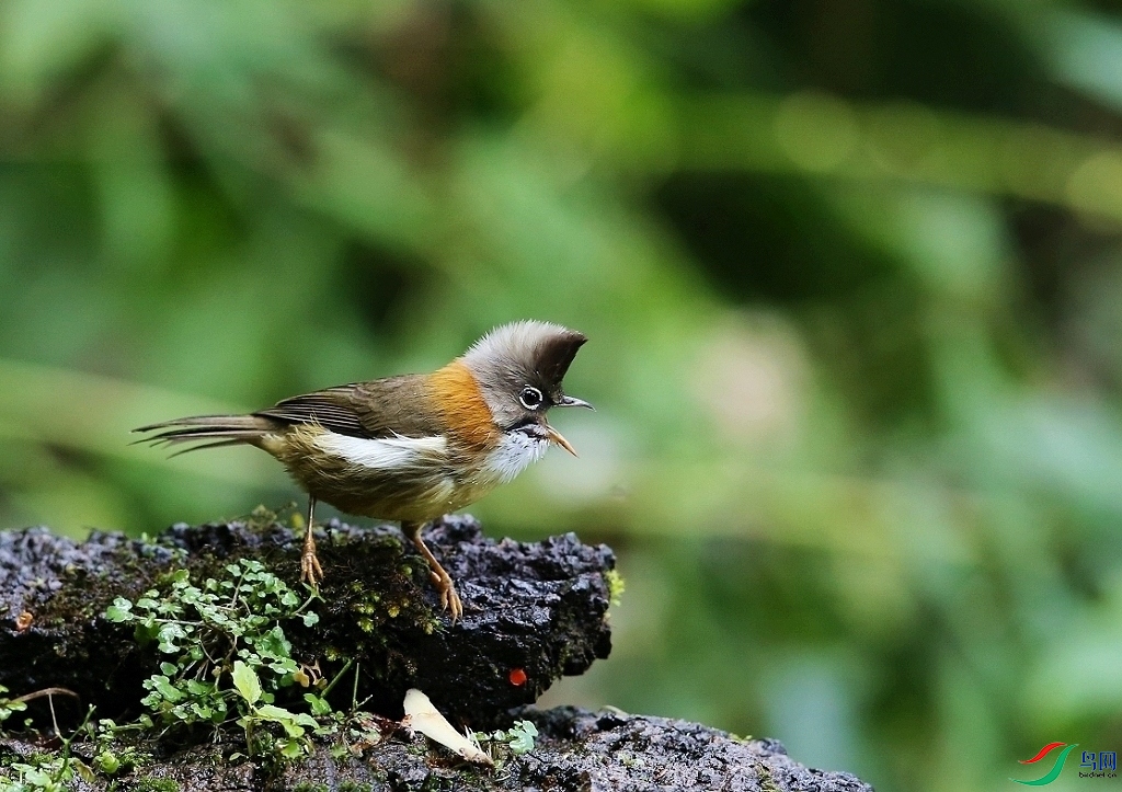 ���� IMGL7020.JPG