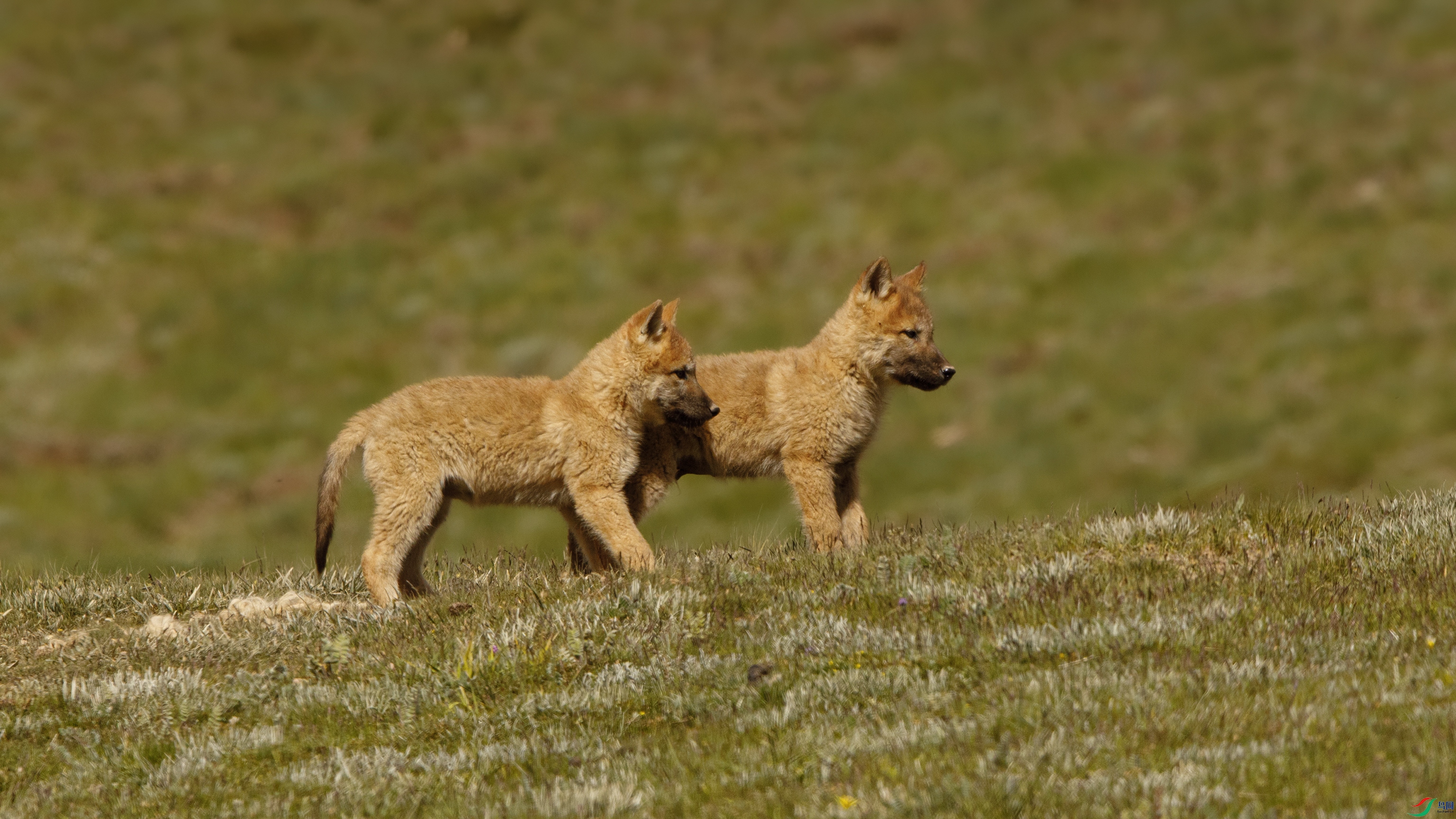 000A8713 ����9999.jpg