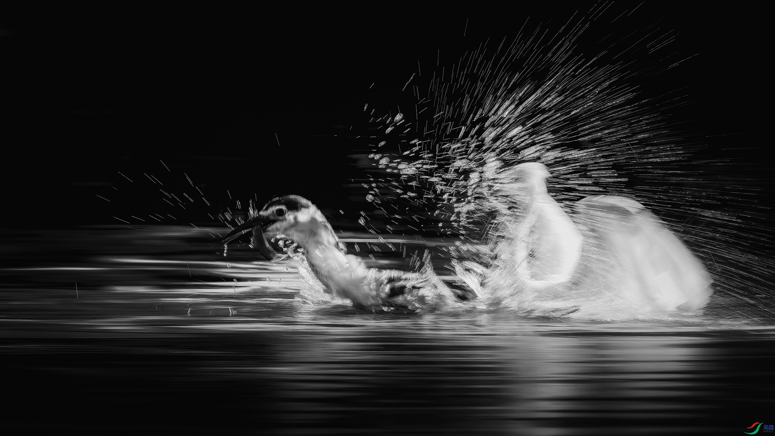 DSC_4046-����ǿ-NR ����.jpg1 ����.jpg