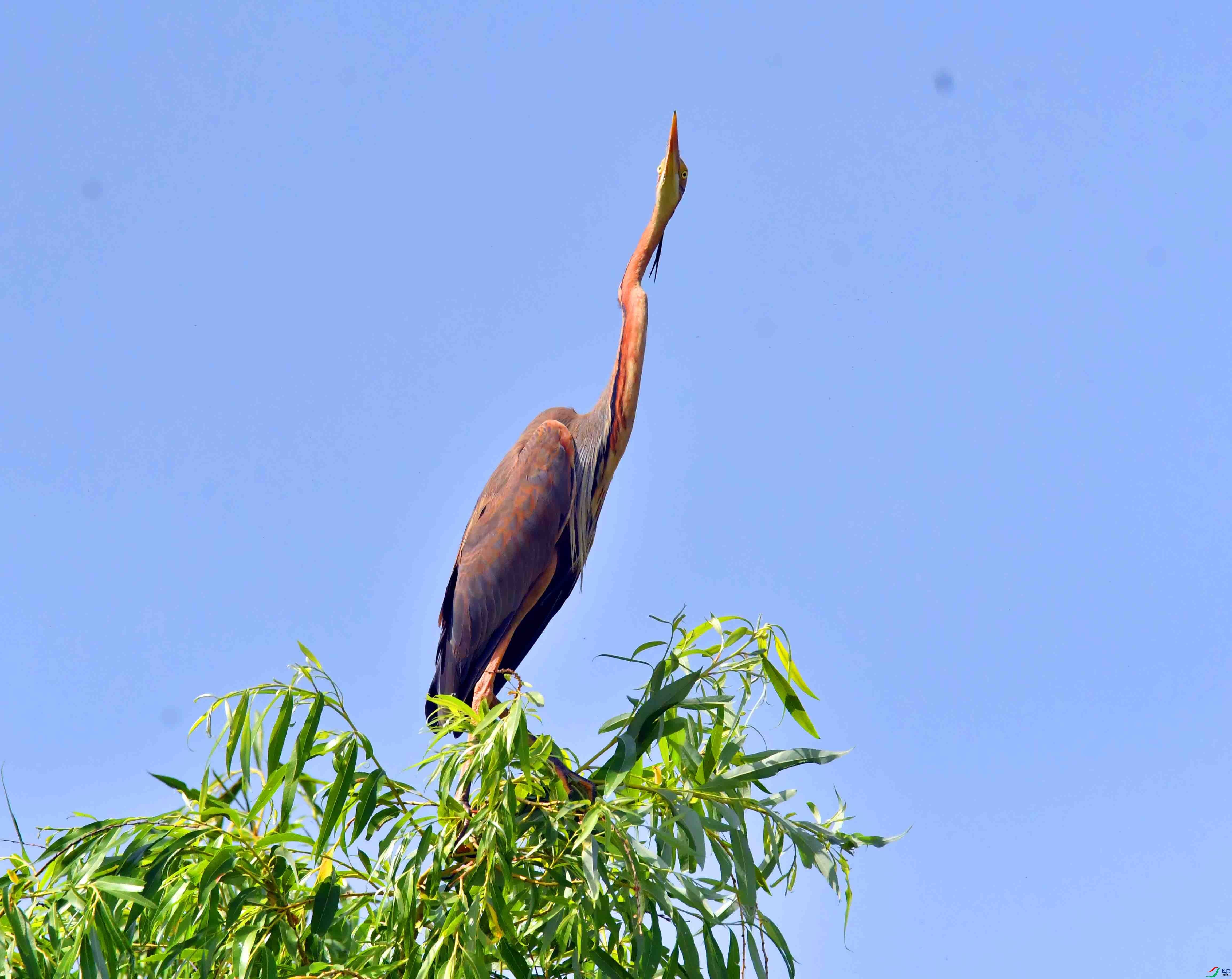 DSC_9937.JPG