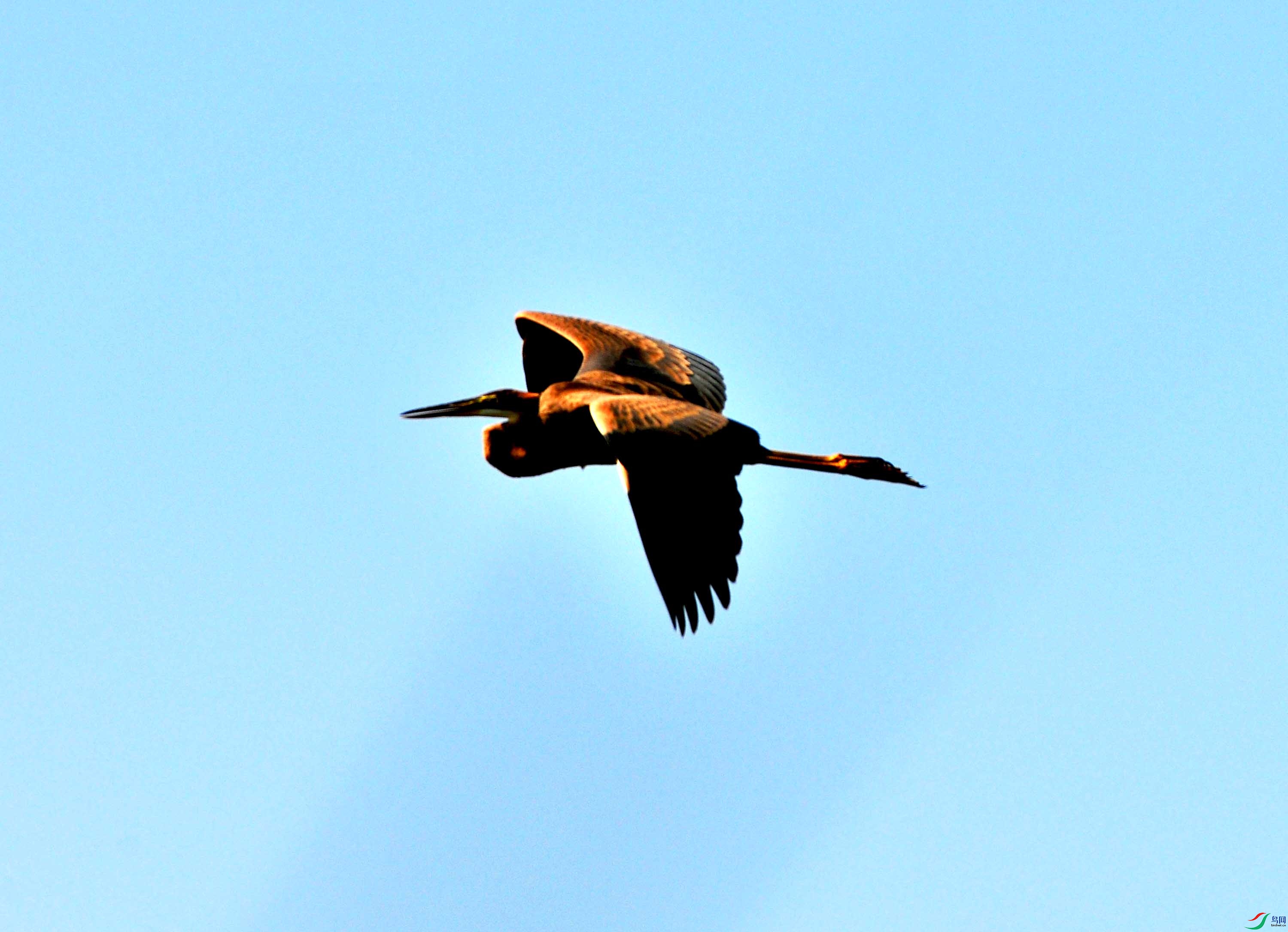 ���� (9).JPG