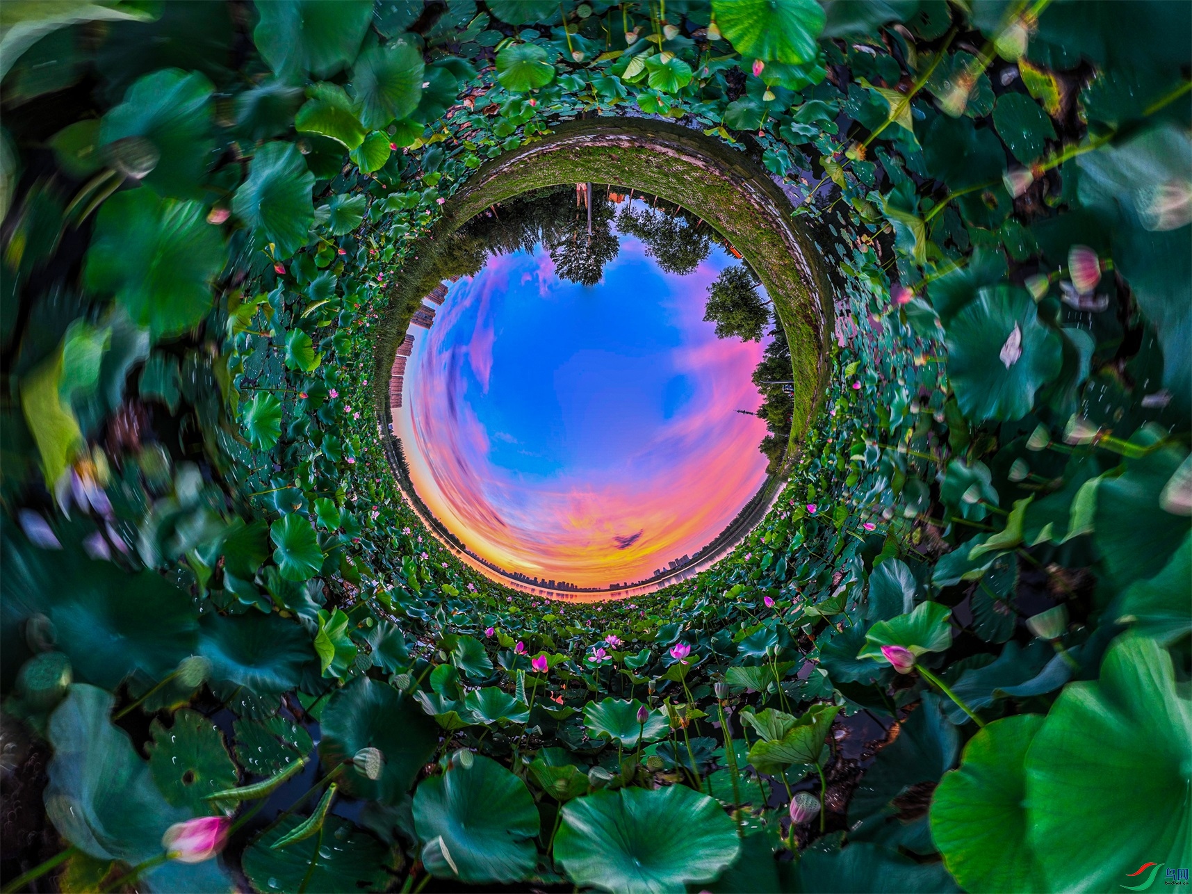dji_export_20240808_044708_1723063628673_sphere_screenshot ����1.jpg