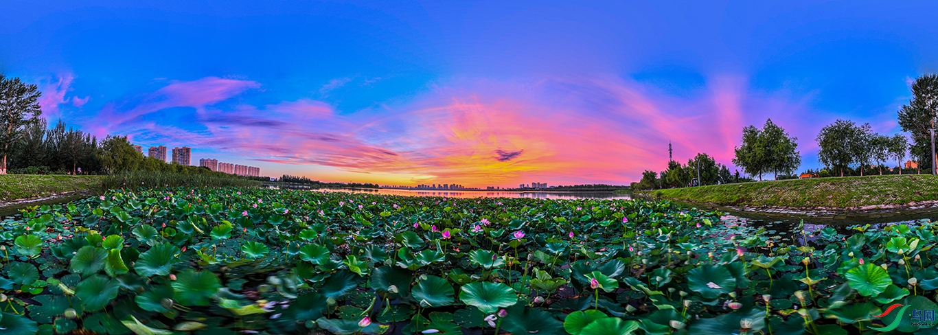 dji_fly_20240808_042226_676_1723063632007_pano ����1.jpg