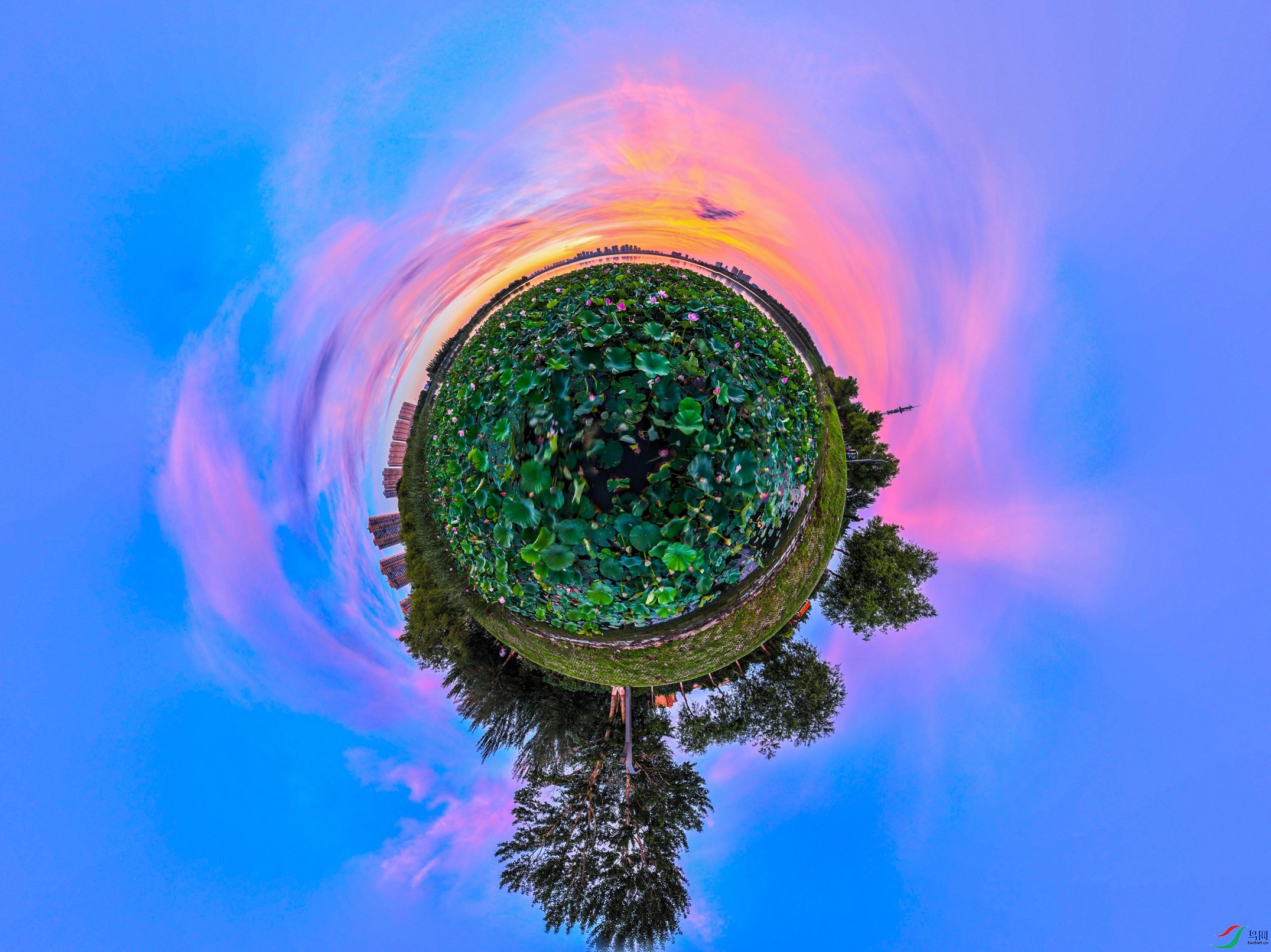 dji_export_20240808_044659_1723063619841_sphere_screenshot ����1.jpg