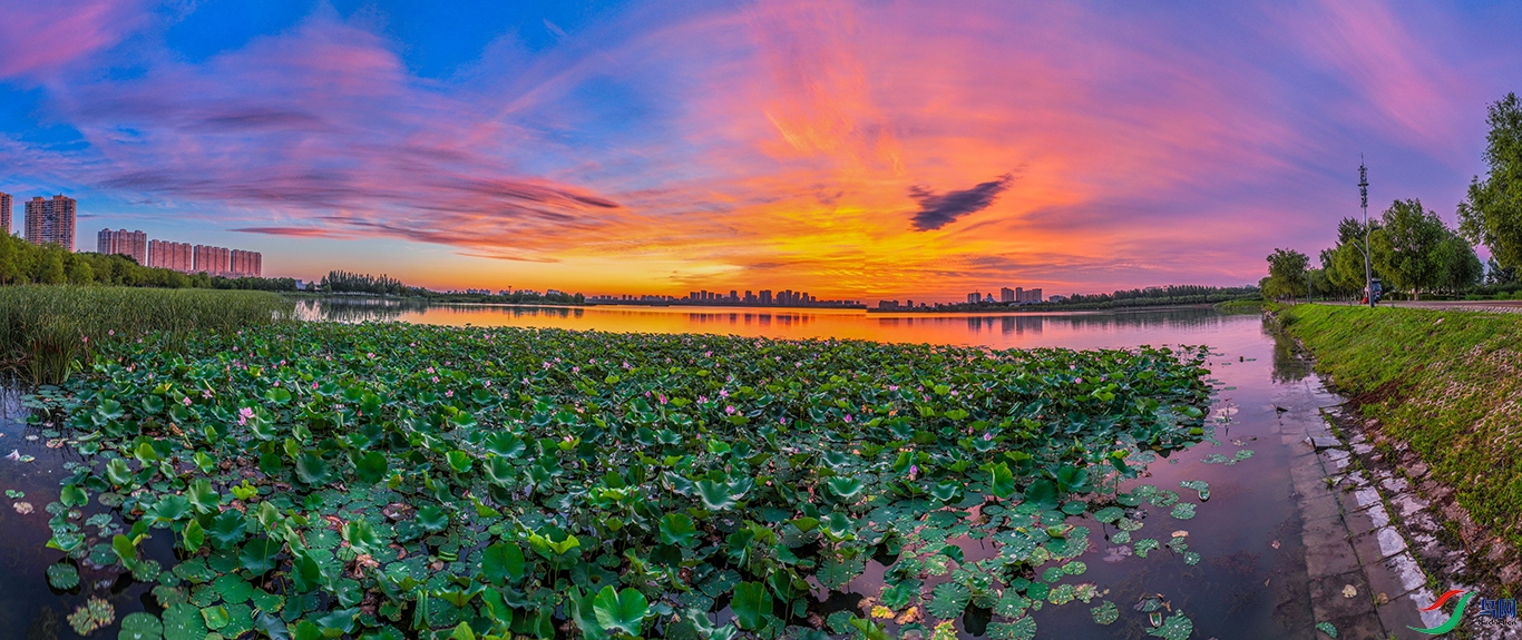 dji_fly_20240808_042032_675_1723063585881_pano ����1.jpg