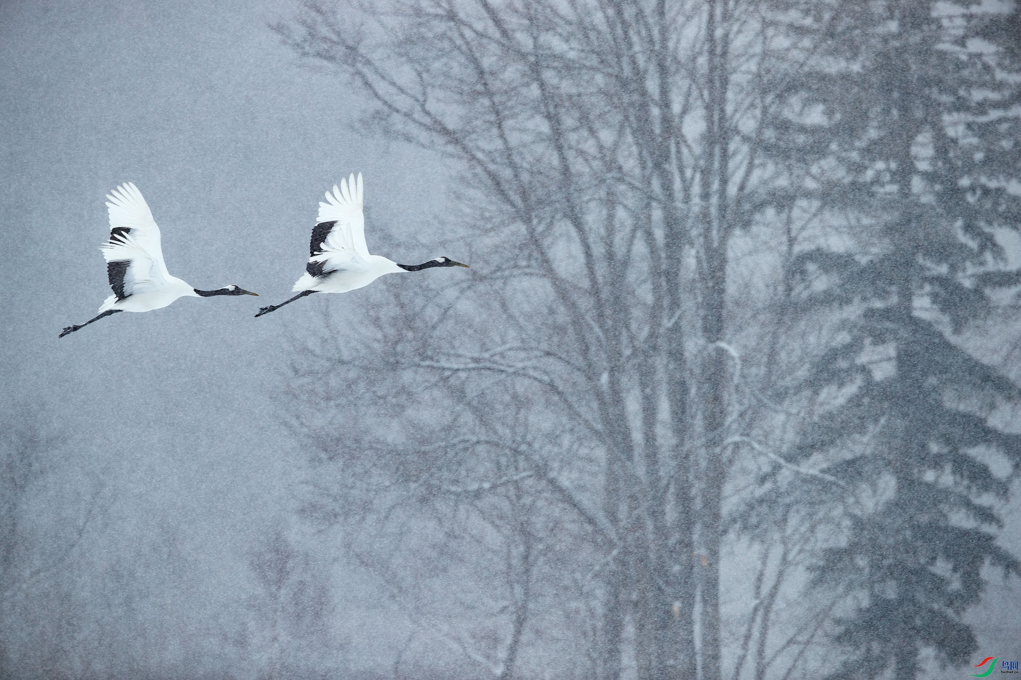 AQ9I7140 ����.jpg