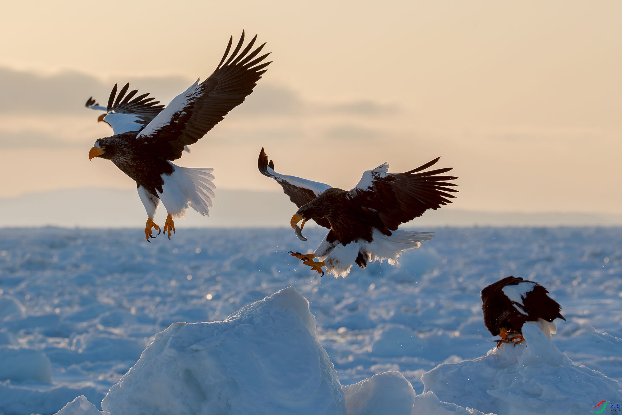 AQ9I4954-����ǿ-NR ����.jpg