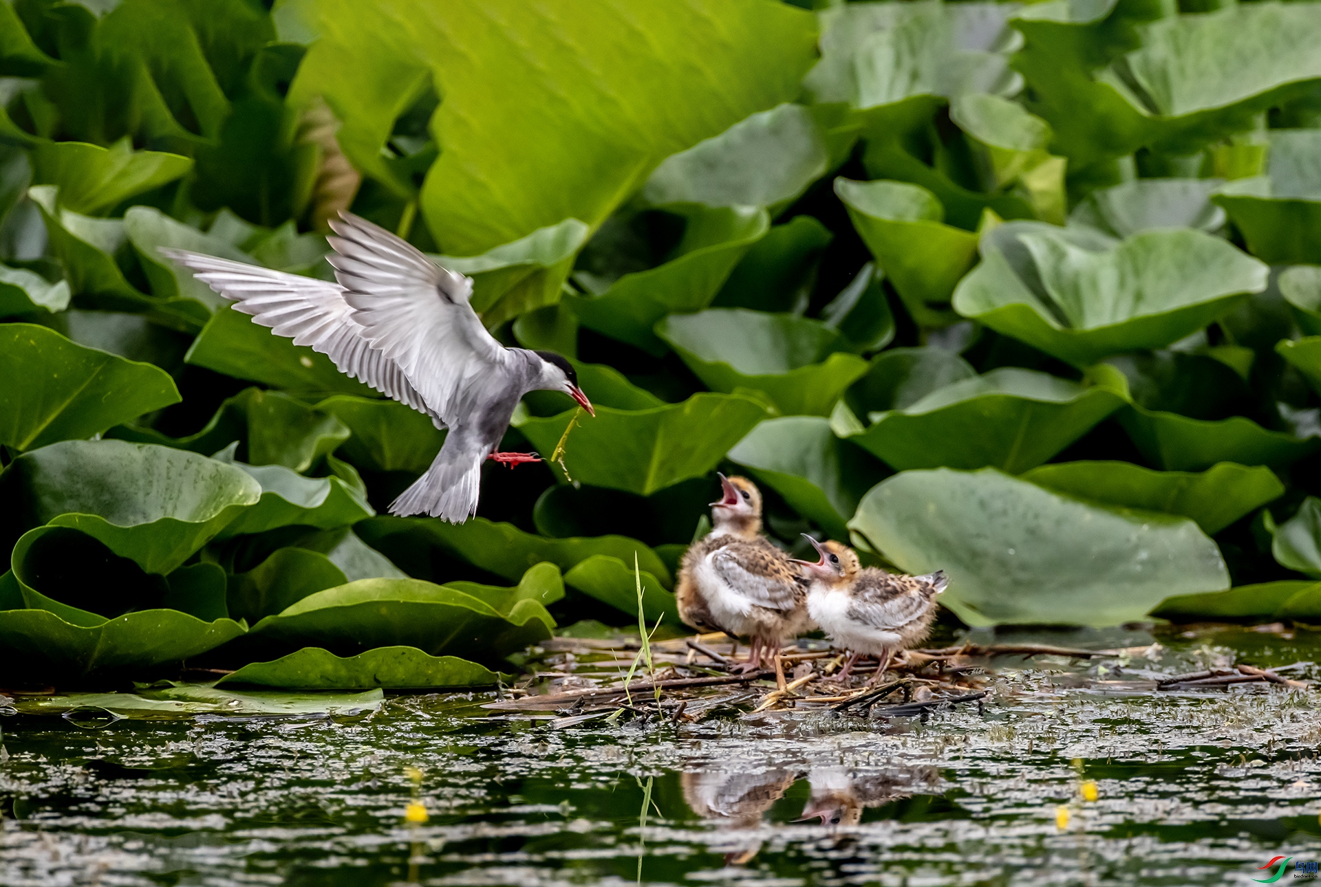 A47I1110 ����.jpg