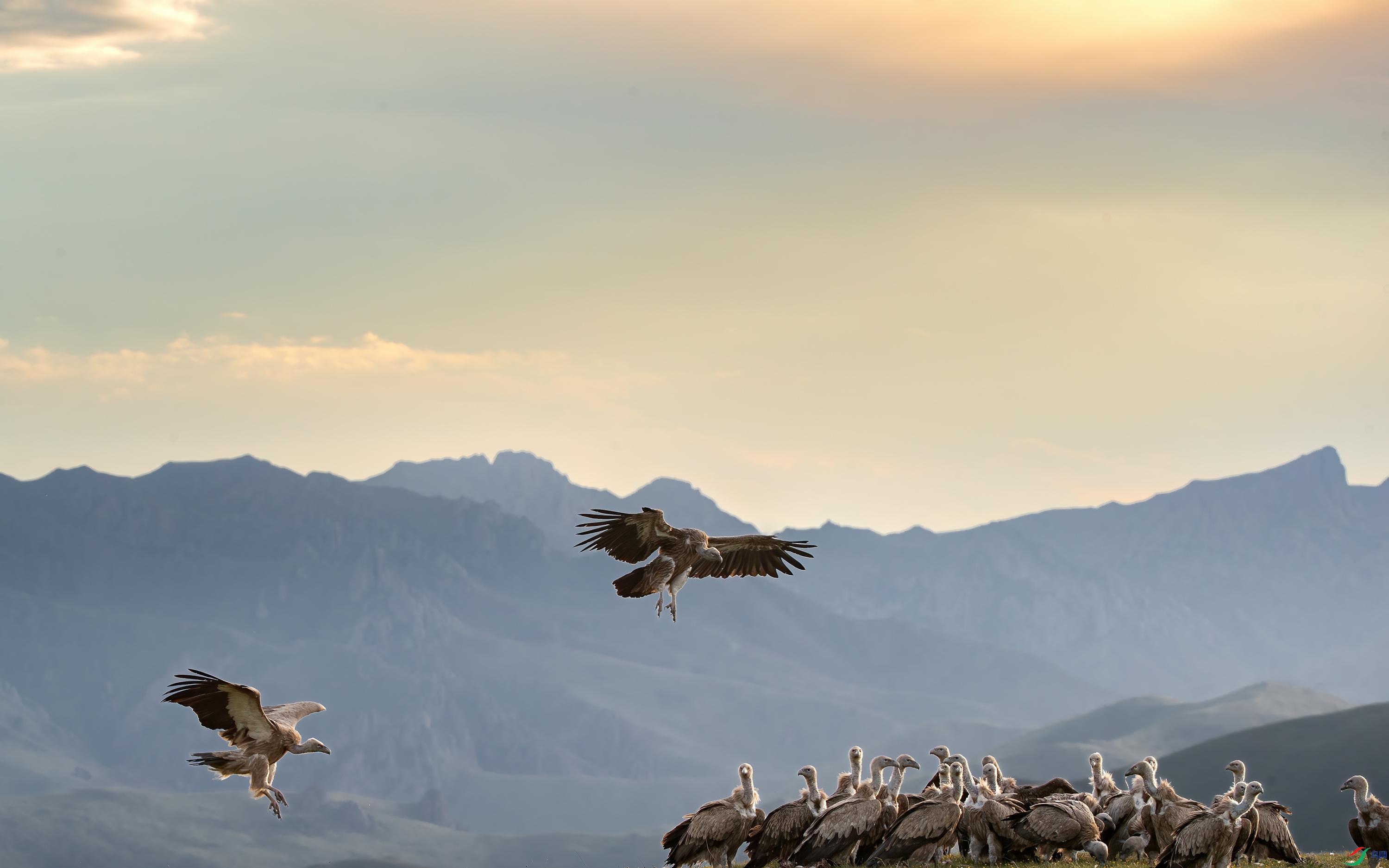 AY8I0652 ����.jpg