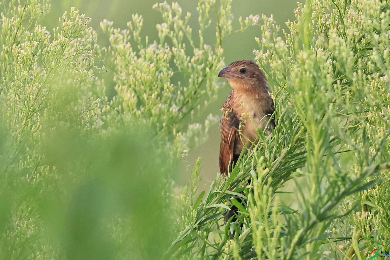 Сѻ�����  _98A2904.jpg