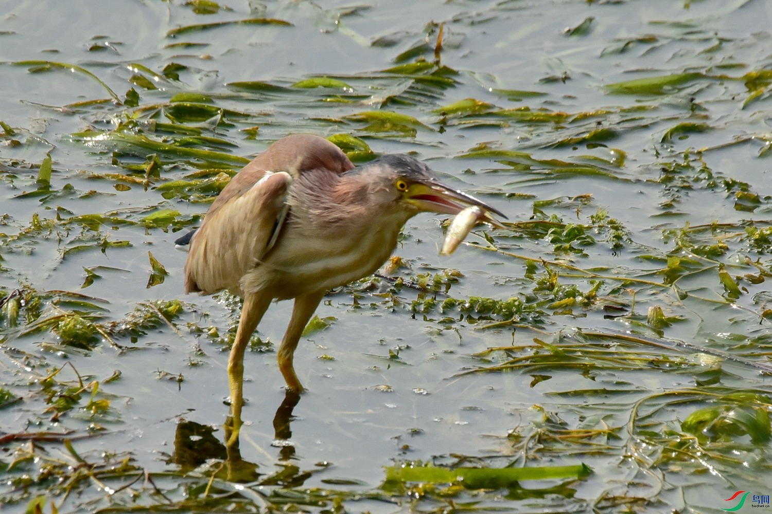 DSC_8322.JPG