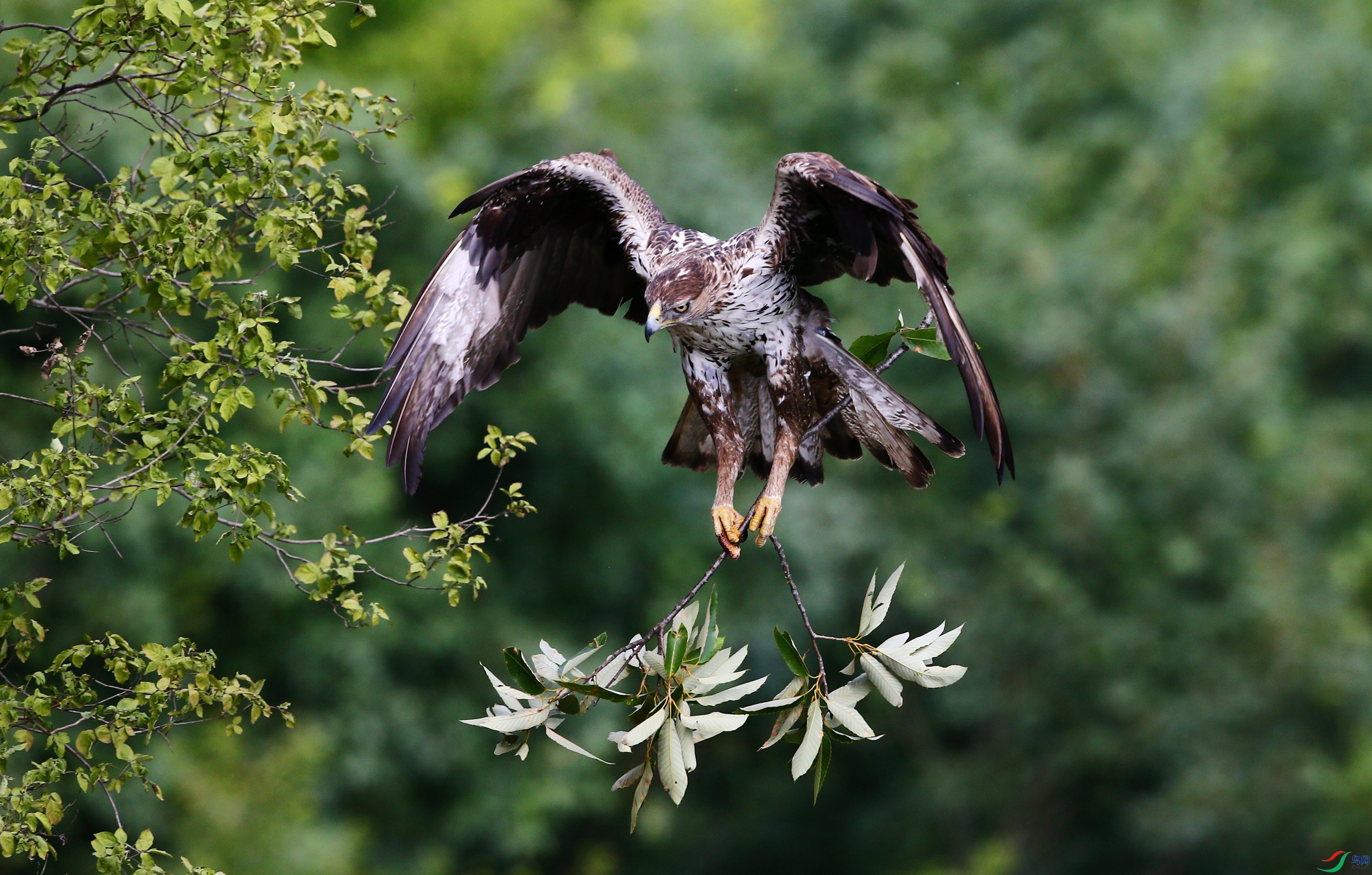 �׸����� (12).JPG