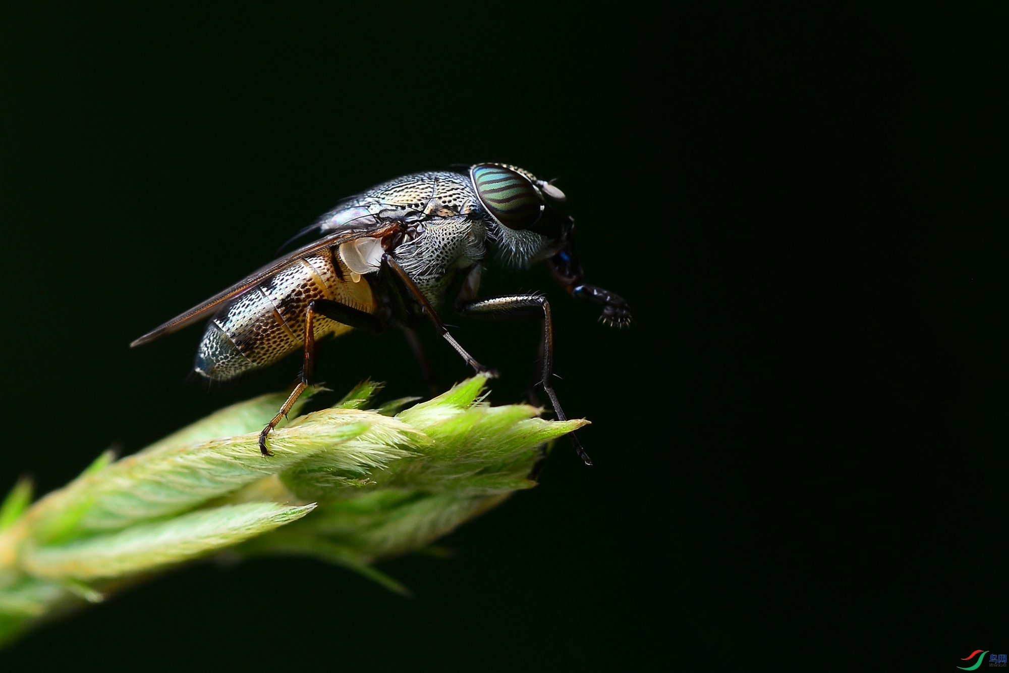 DSC_039000_����.jpg
