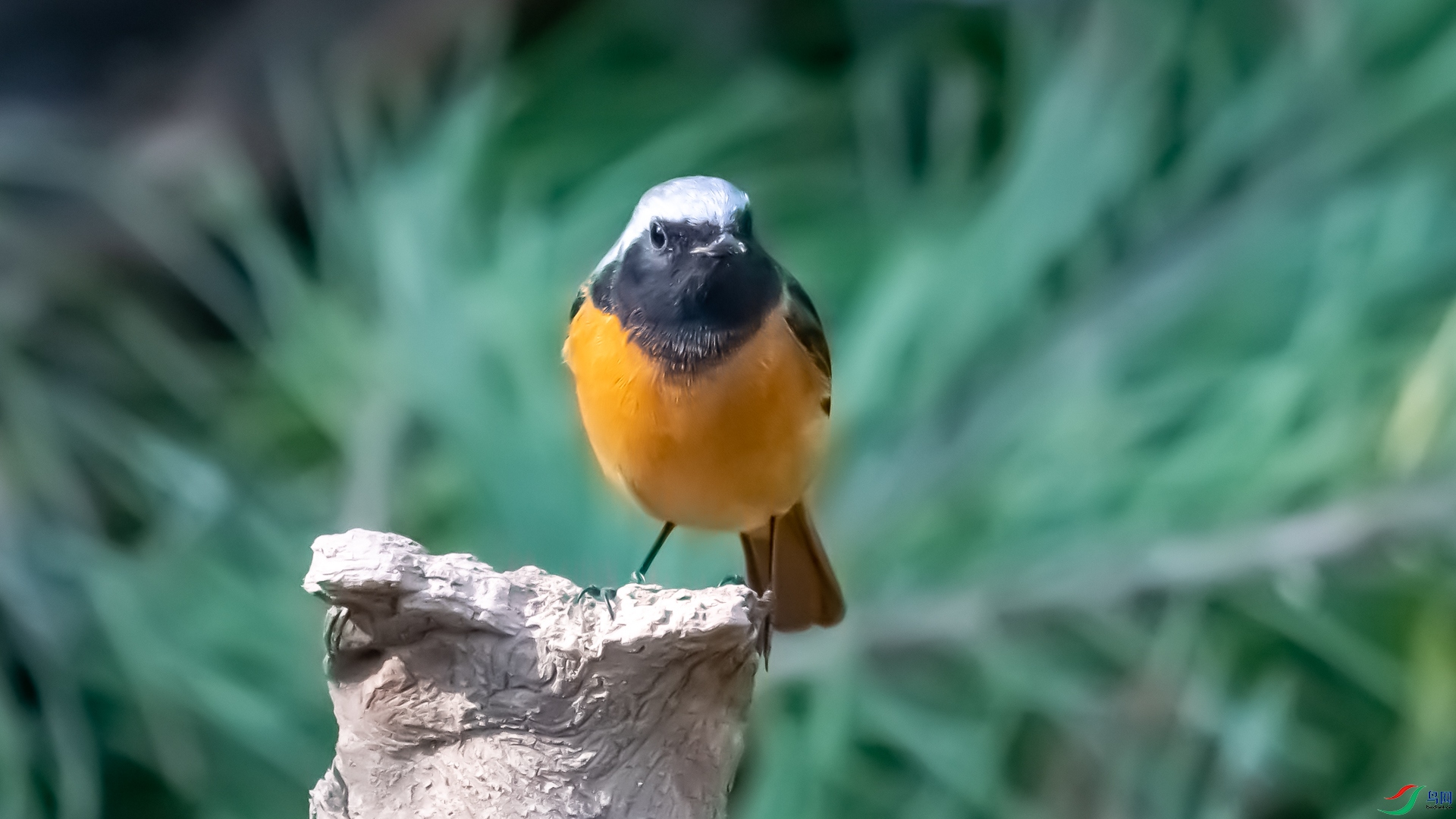 DSC_3667.jpg
