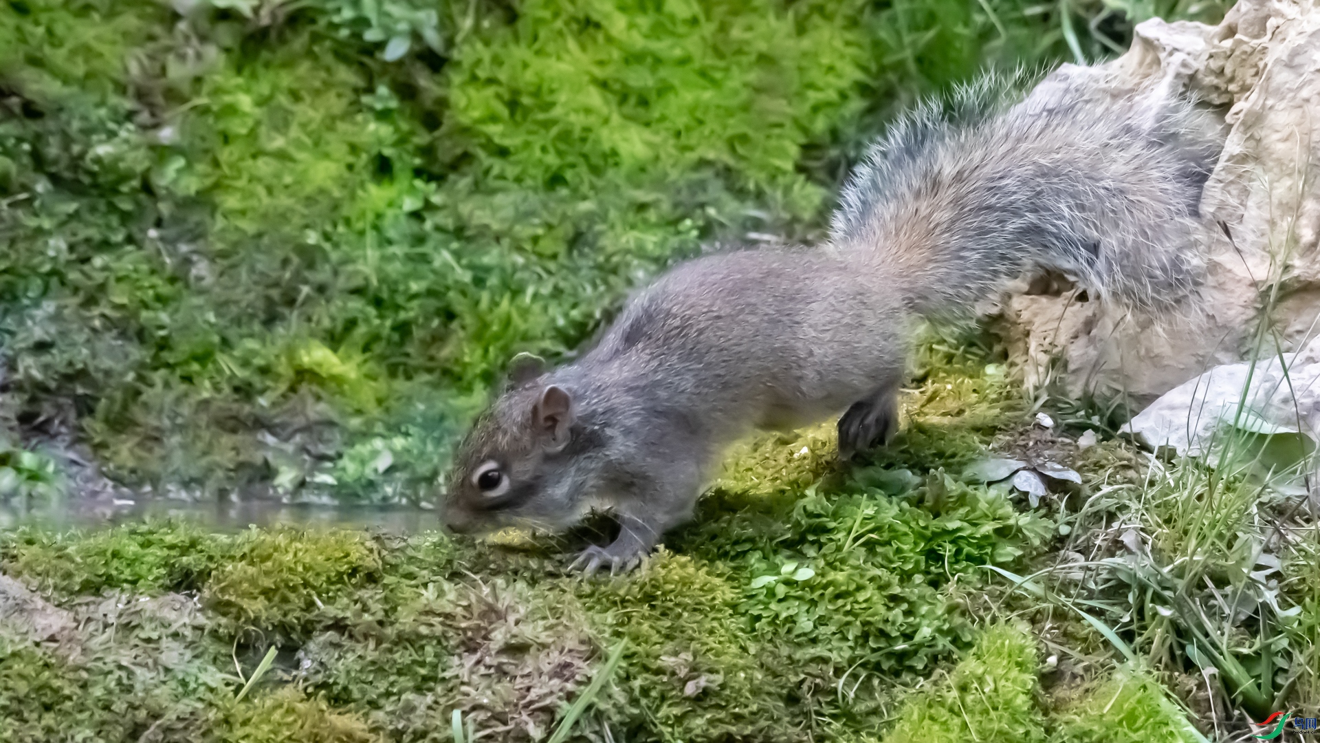 DSC_3812.jpg