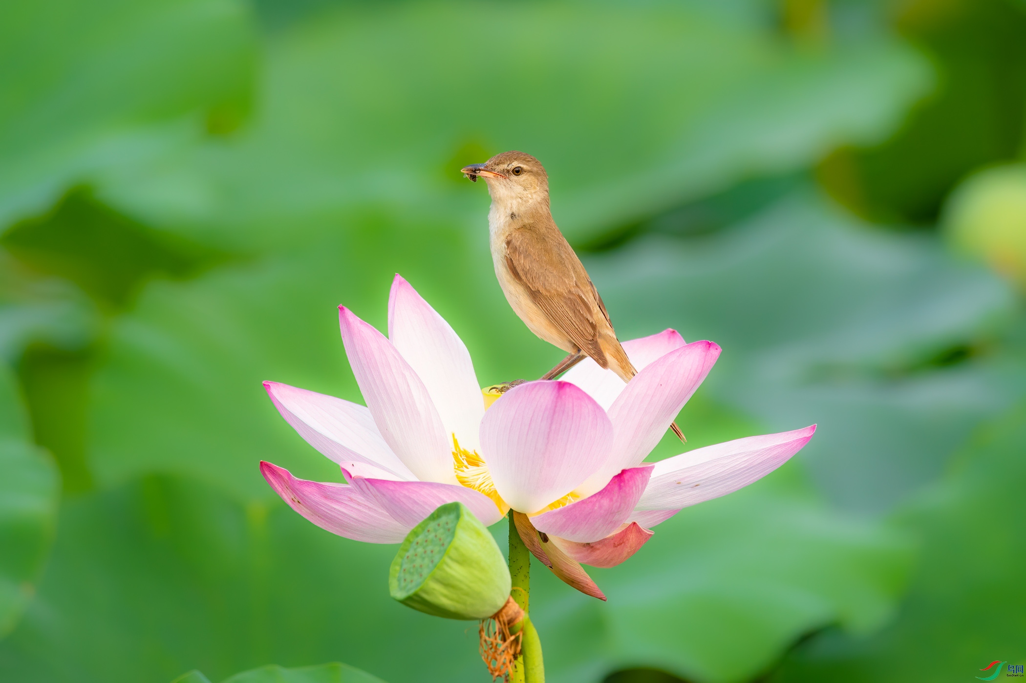 sen2016 7-7-8-�༭.jpg