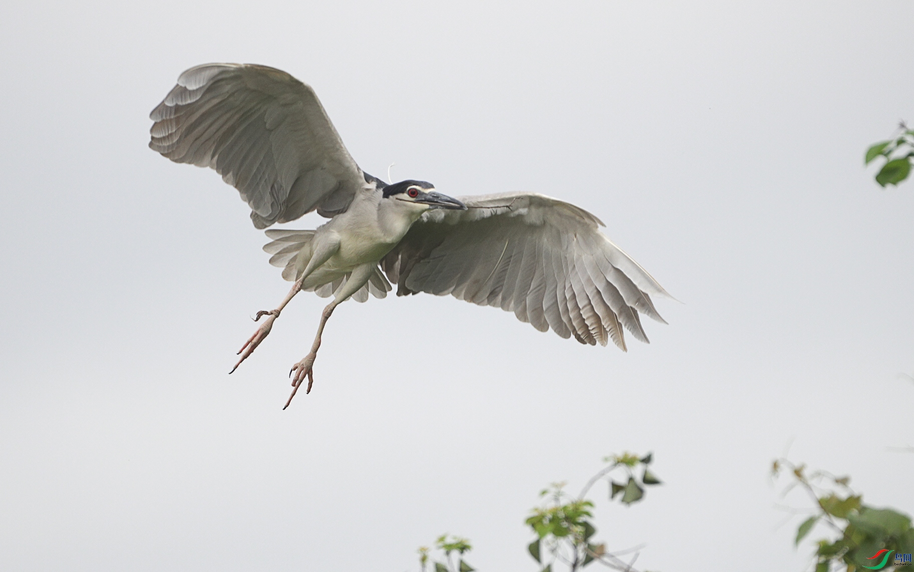 b83a0488c1179a11e04ed8f3eb64d7a ����.jpg