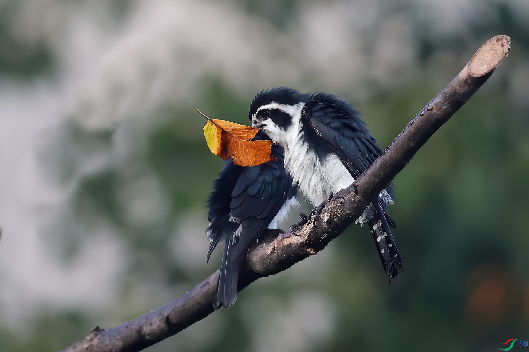 ����С��5