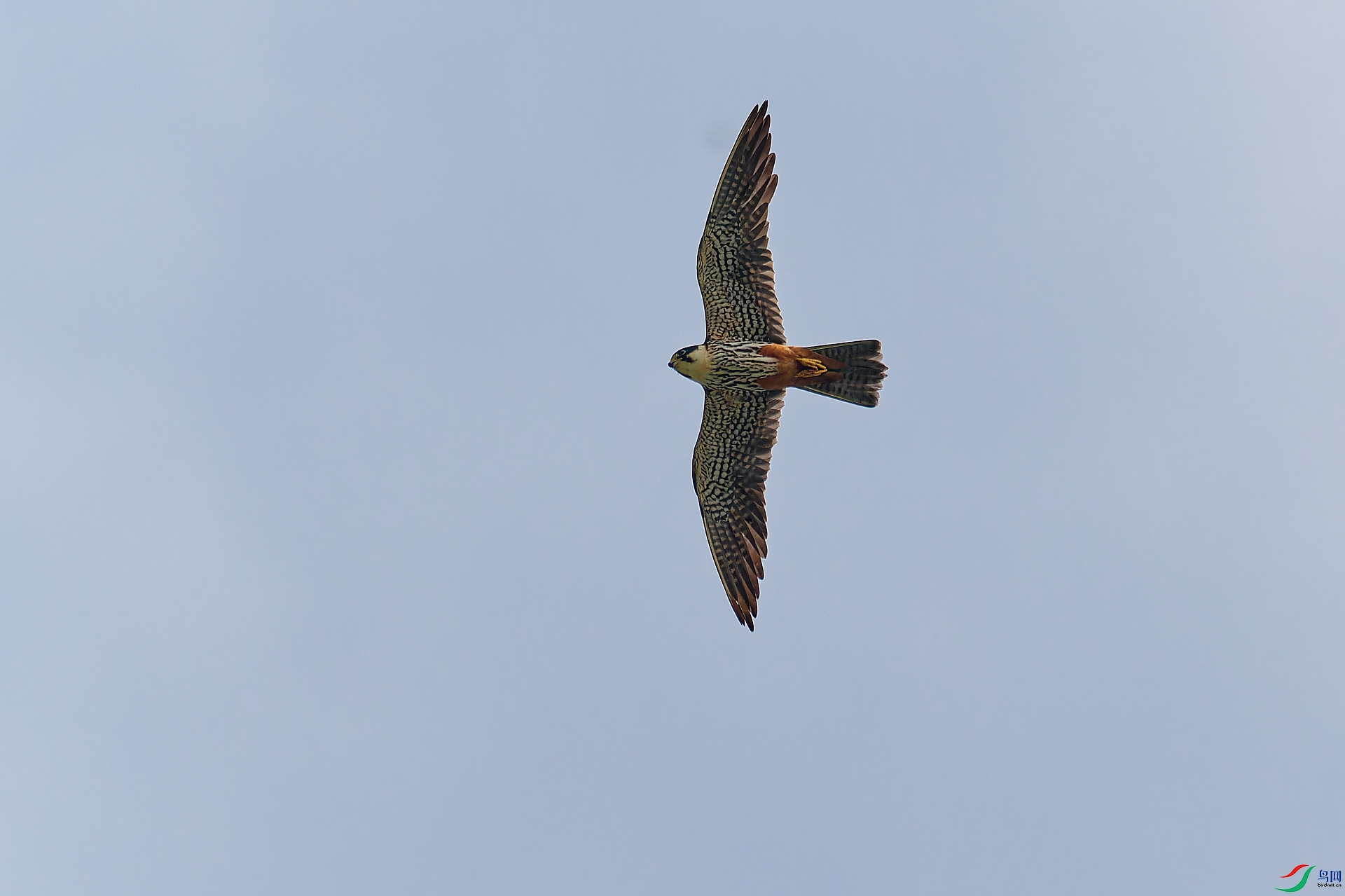 DSC_9760.jpg