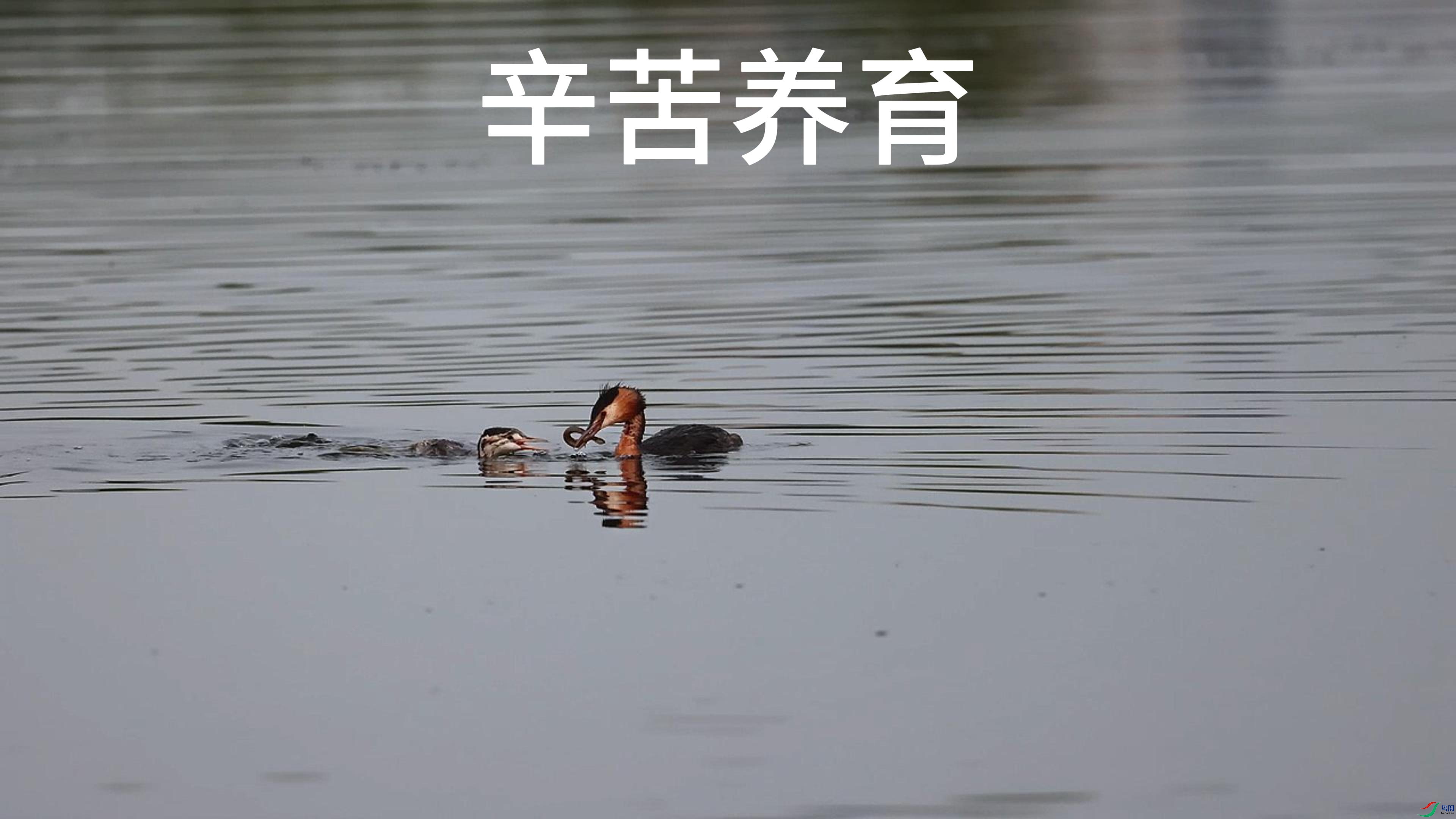 8��9�� (1)-����.jpg