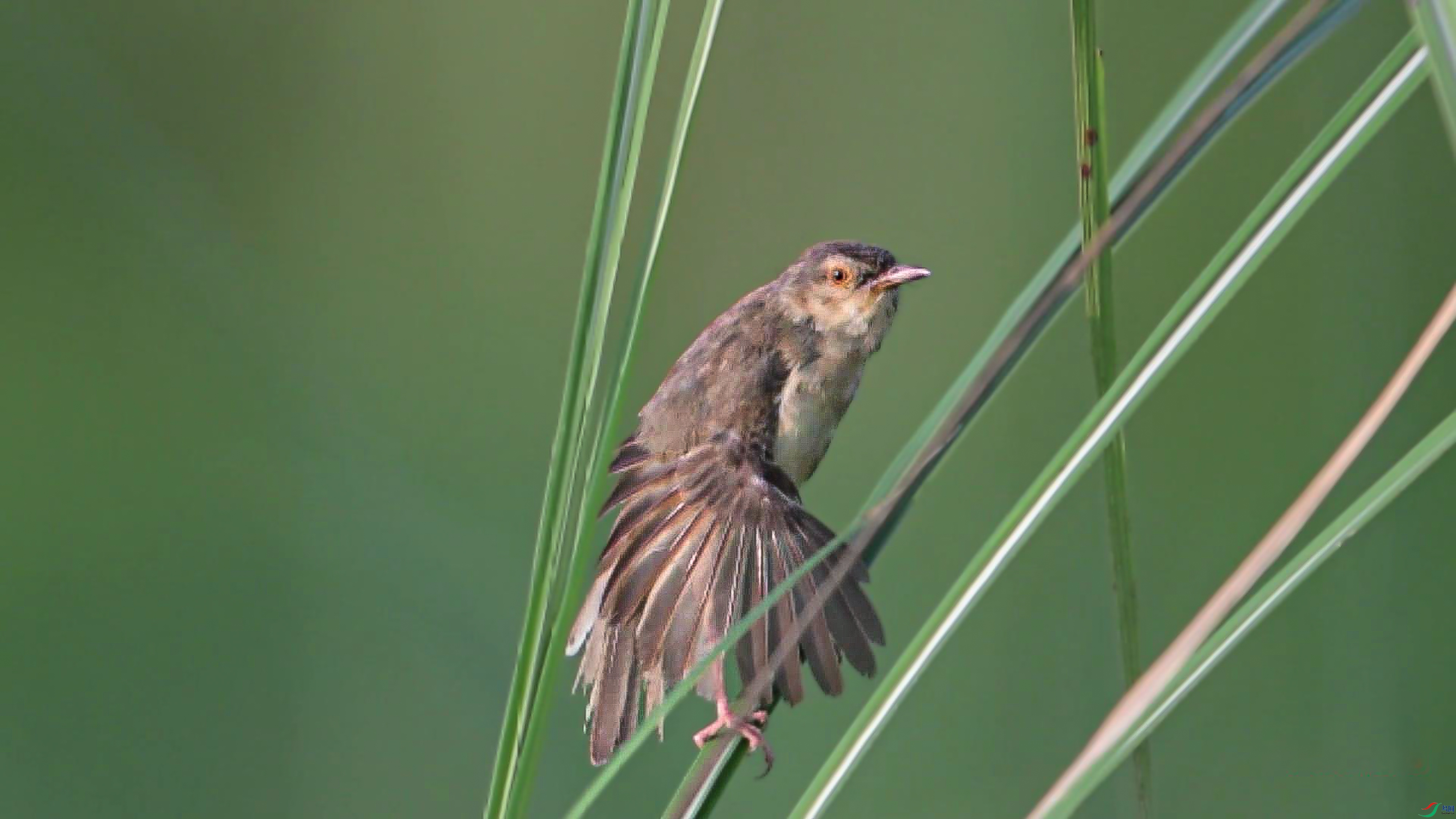 2024-08-09 22-00-36_1.jpg