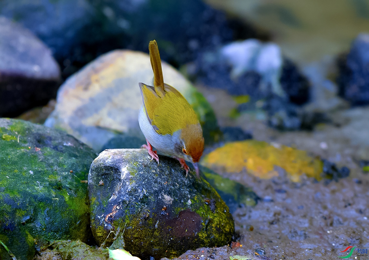 DSC_8905.JPG