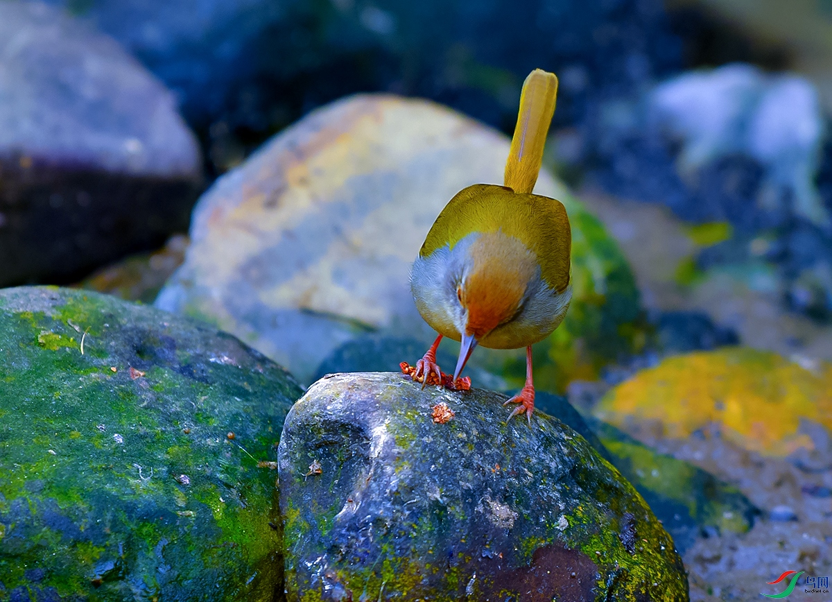 DSC_8903.JPG
