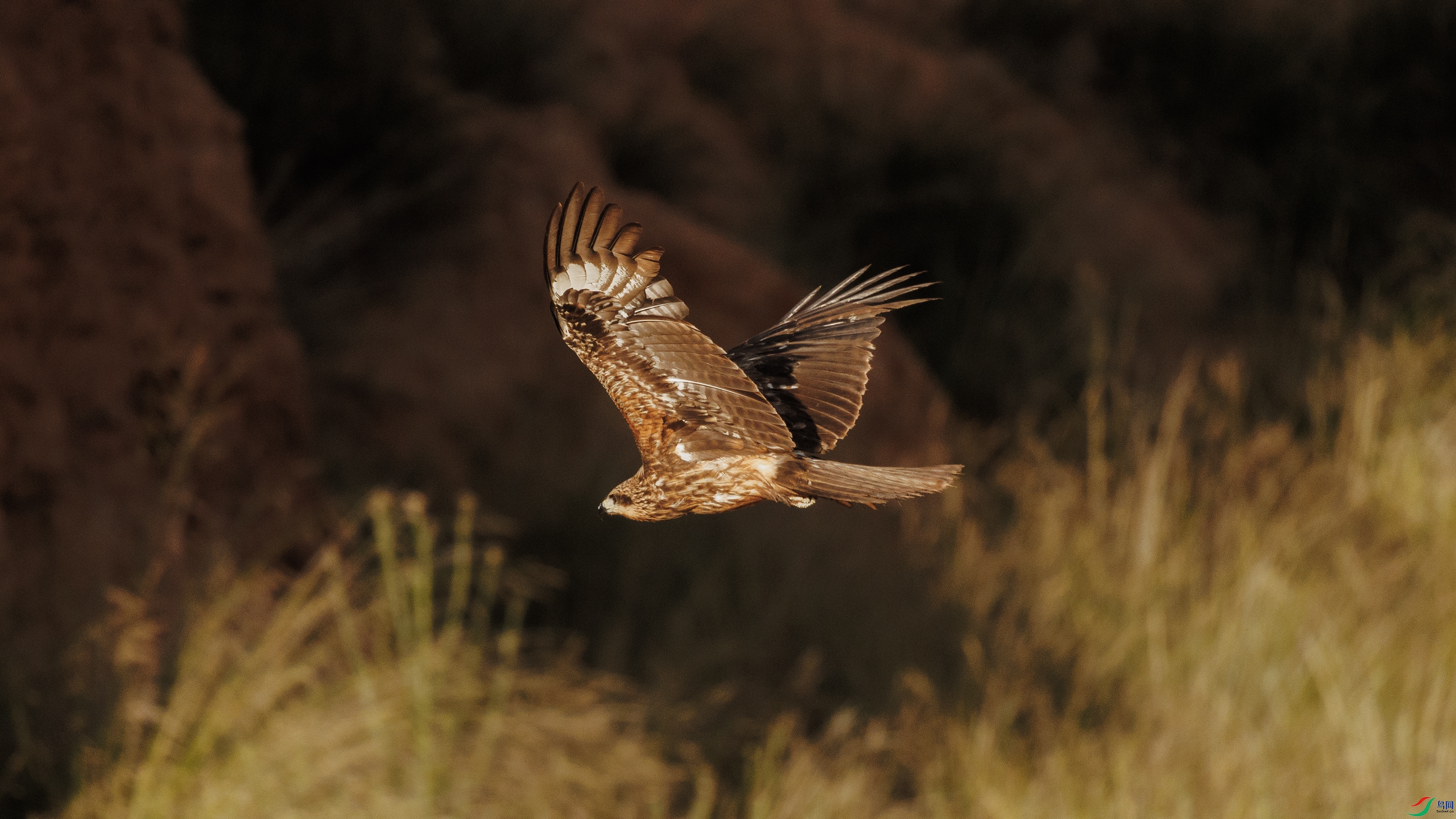 7X5A2963 ����22222.jpg