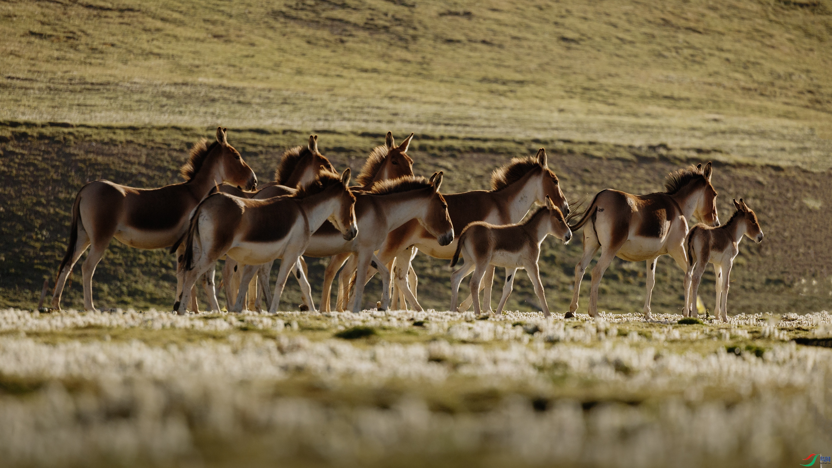 7X5A3358 ����2222222.jpg