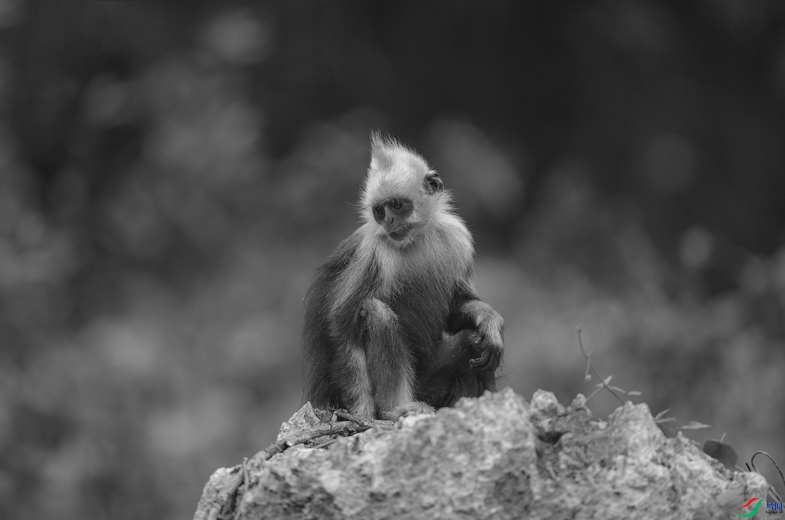 DSC_9427.jpg