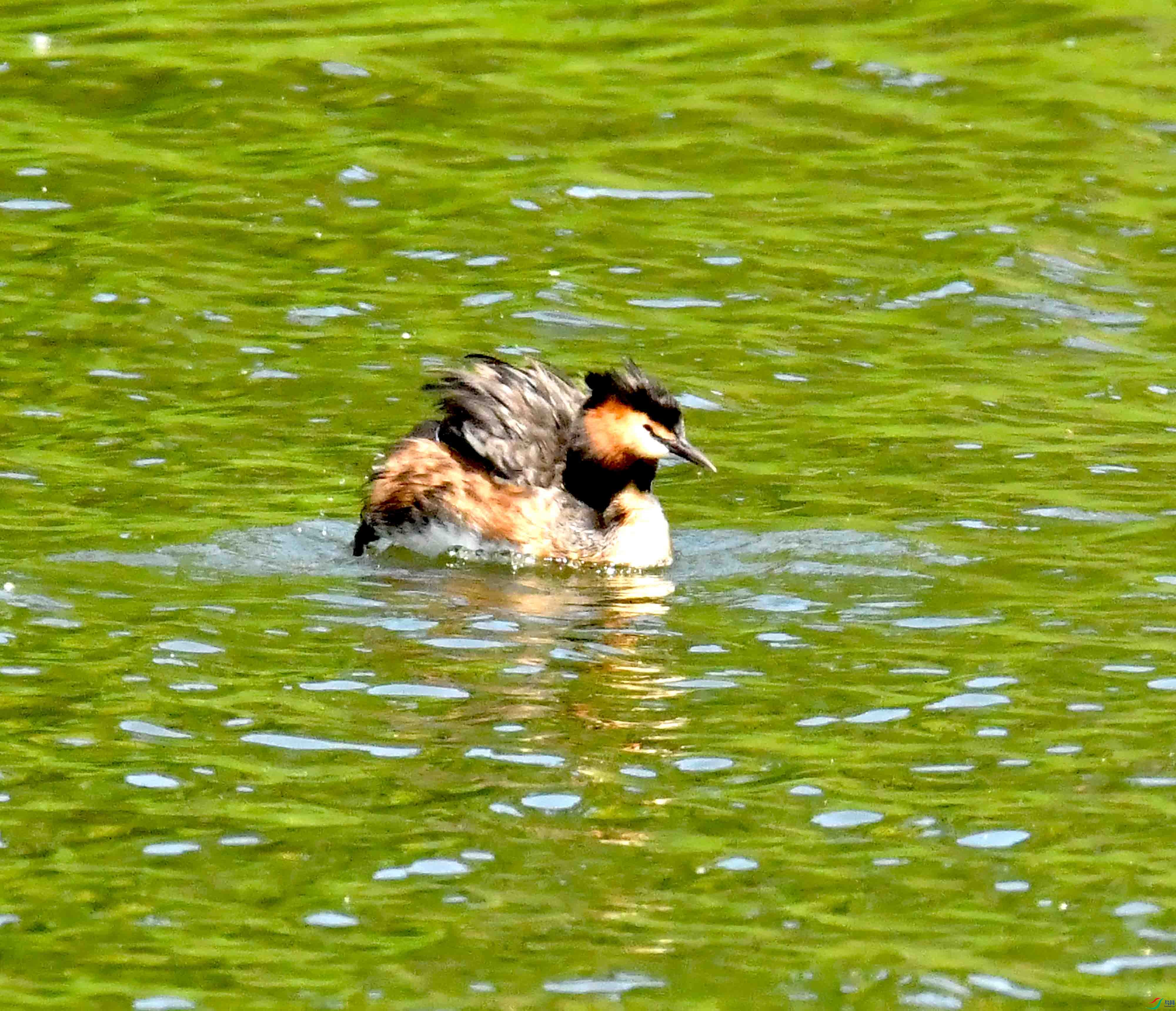 DSC_5374.JPG